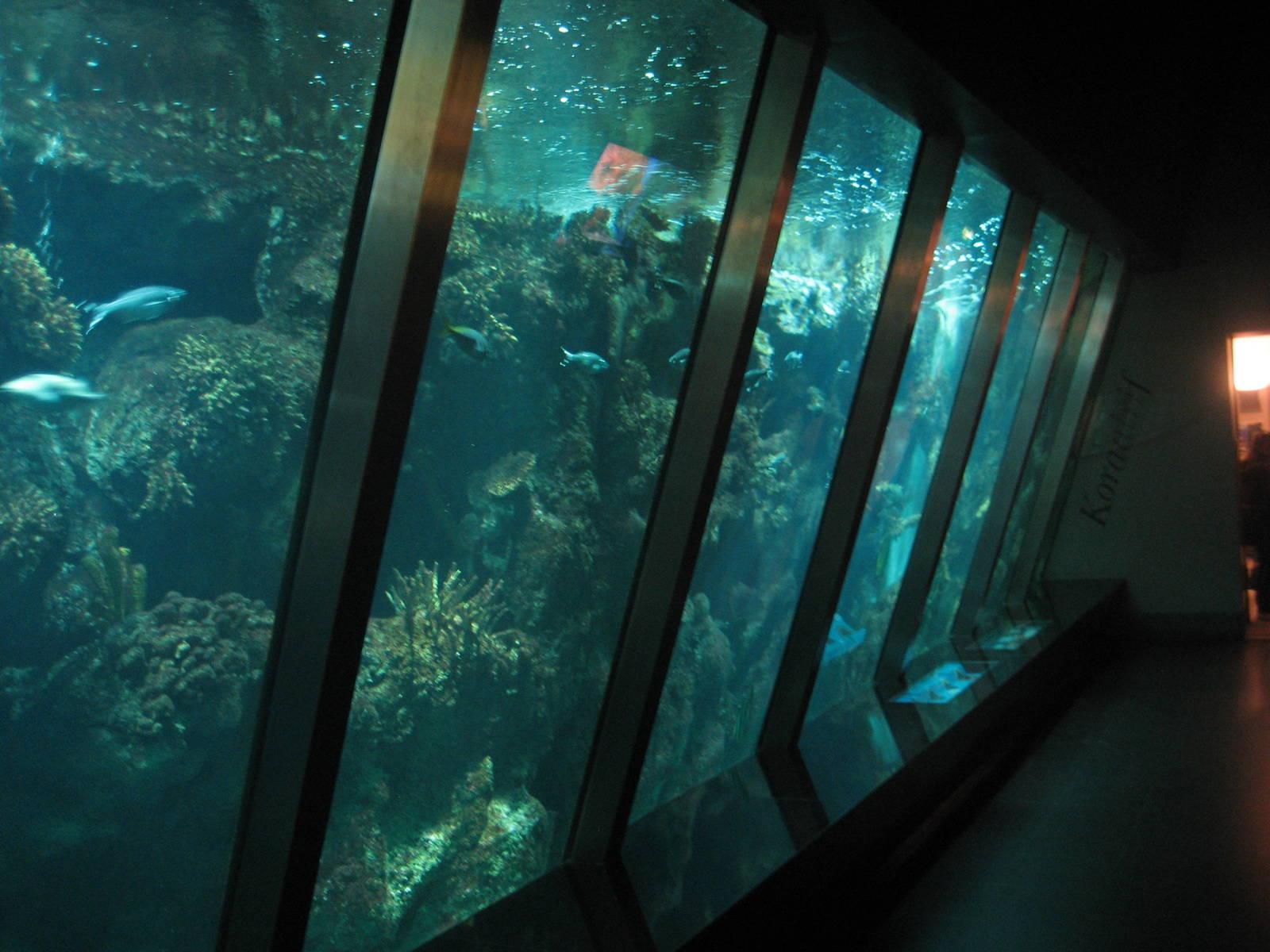 Artis Zoo - Aquarium