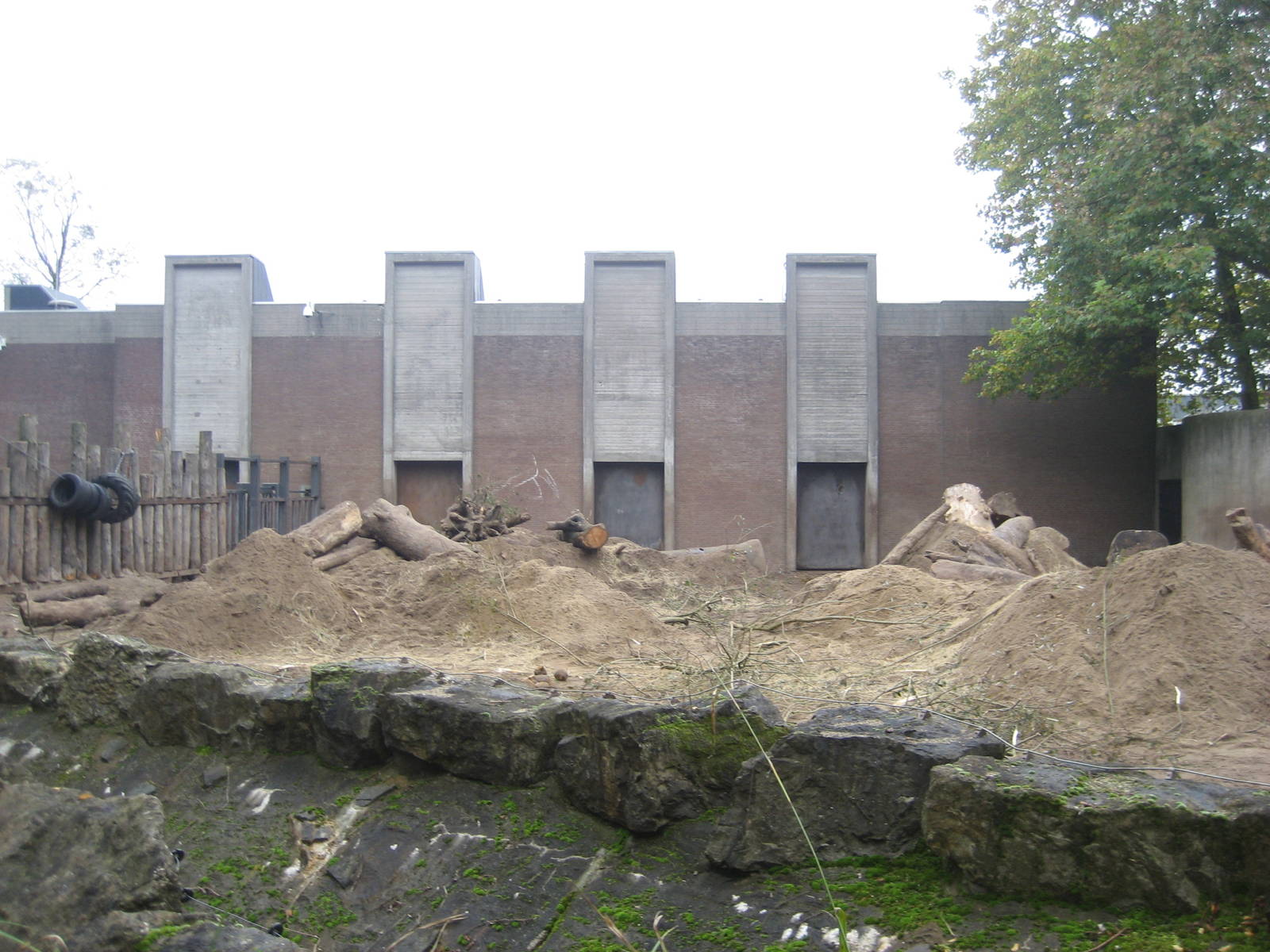 Artis Zoo - Elephant outdoor exhibit