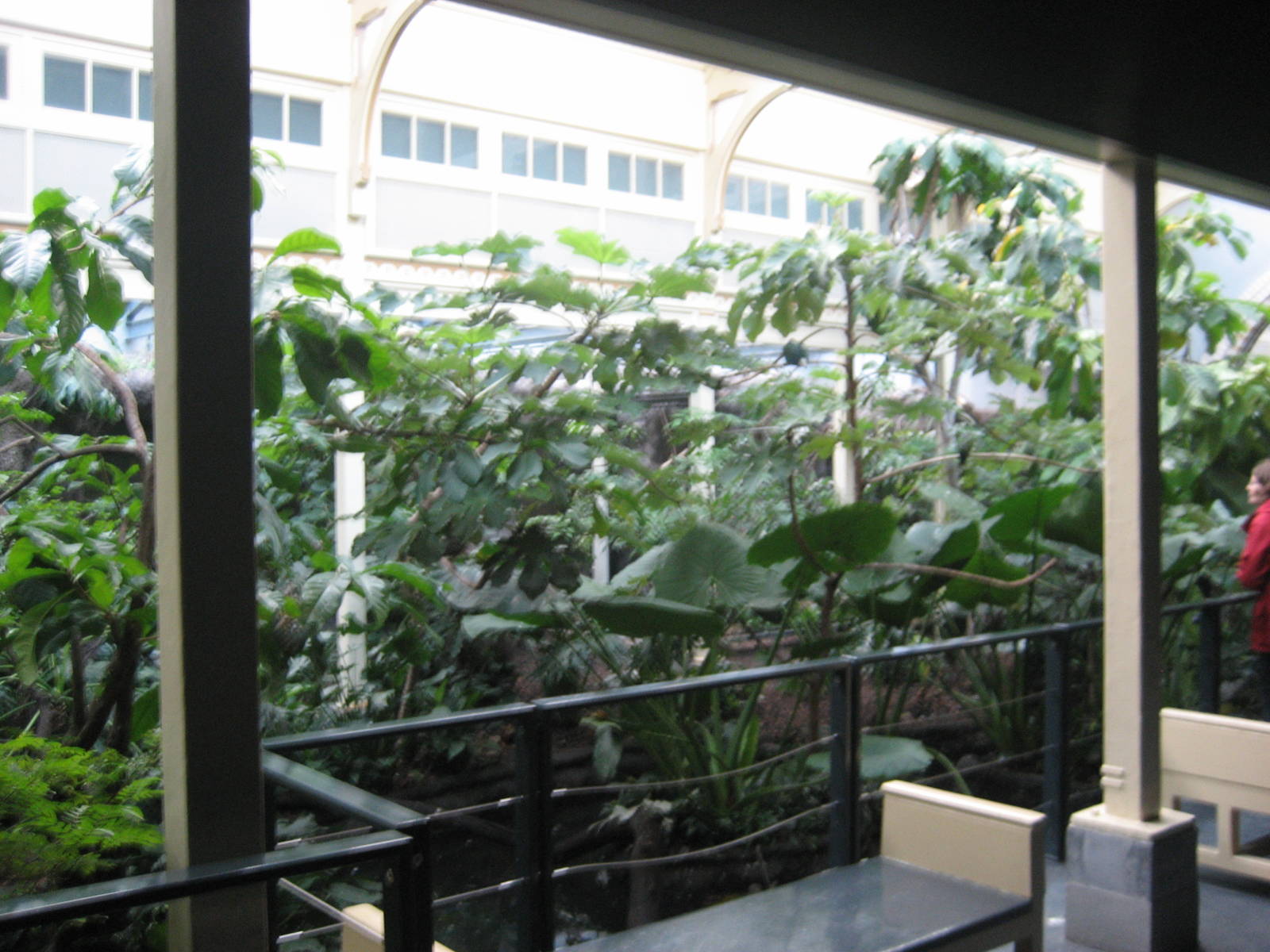 Artis Zoo - New bird house