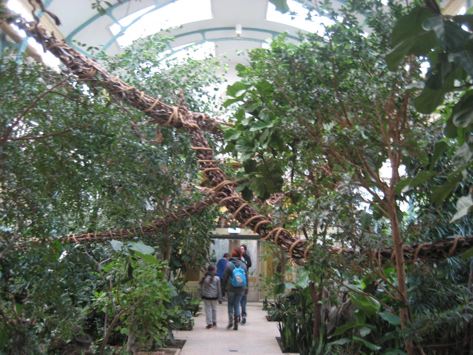 Artis Zoo - New rainforest house