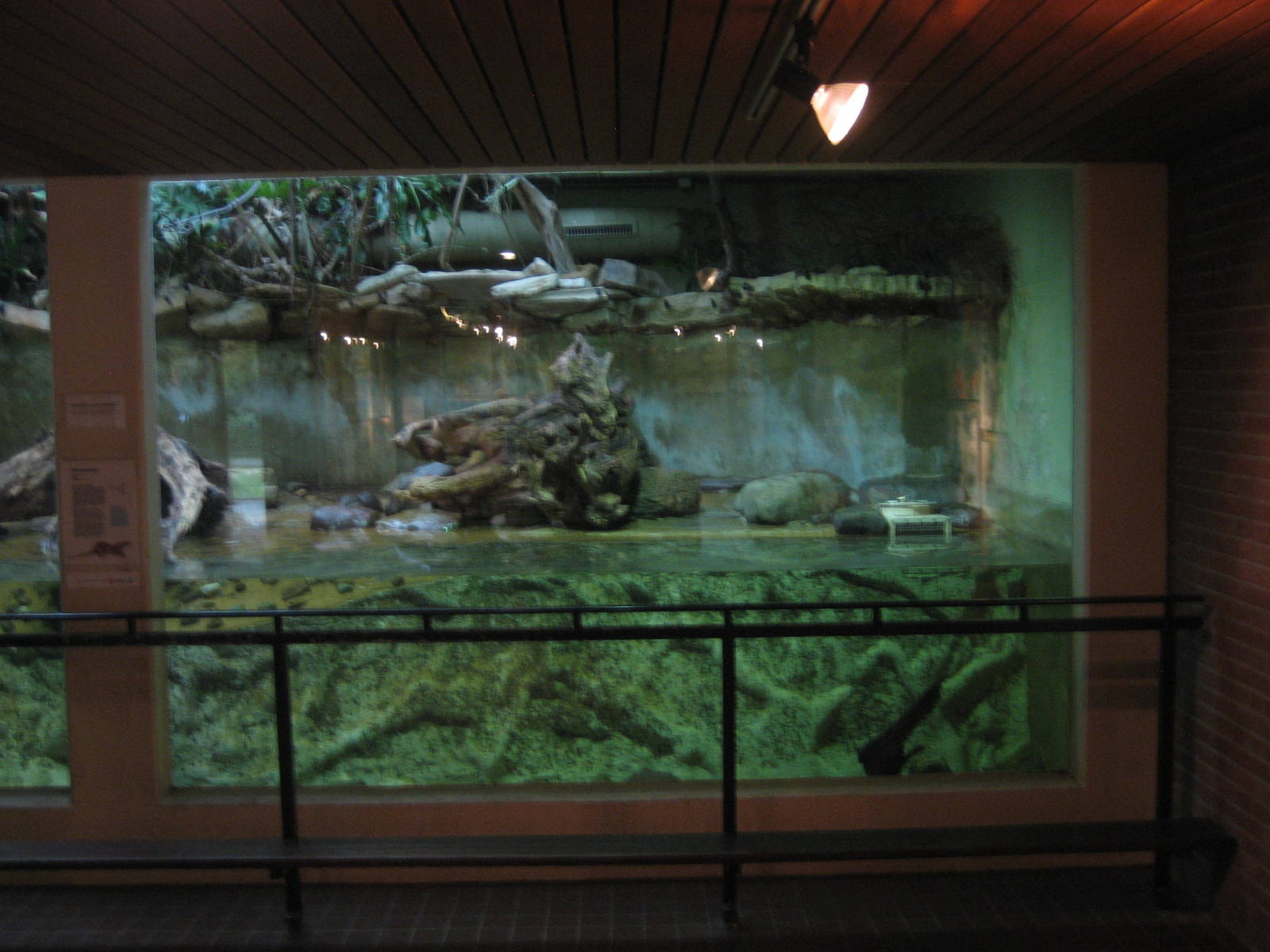 Artis Zoo - Small mammals house (Otter exhibit)