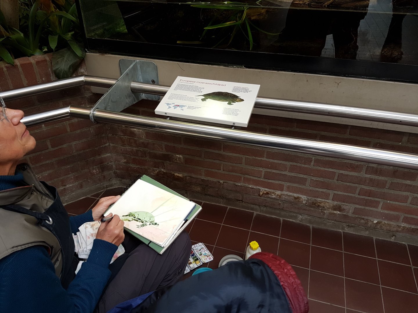 Artist at the Reptilian-house