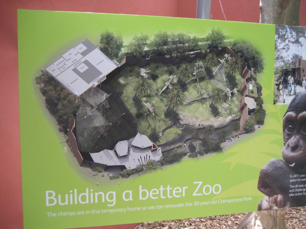 Artist impression of new chimp exhibit