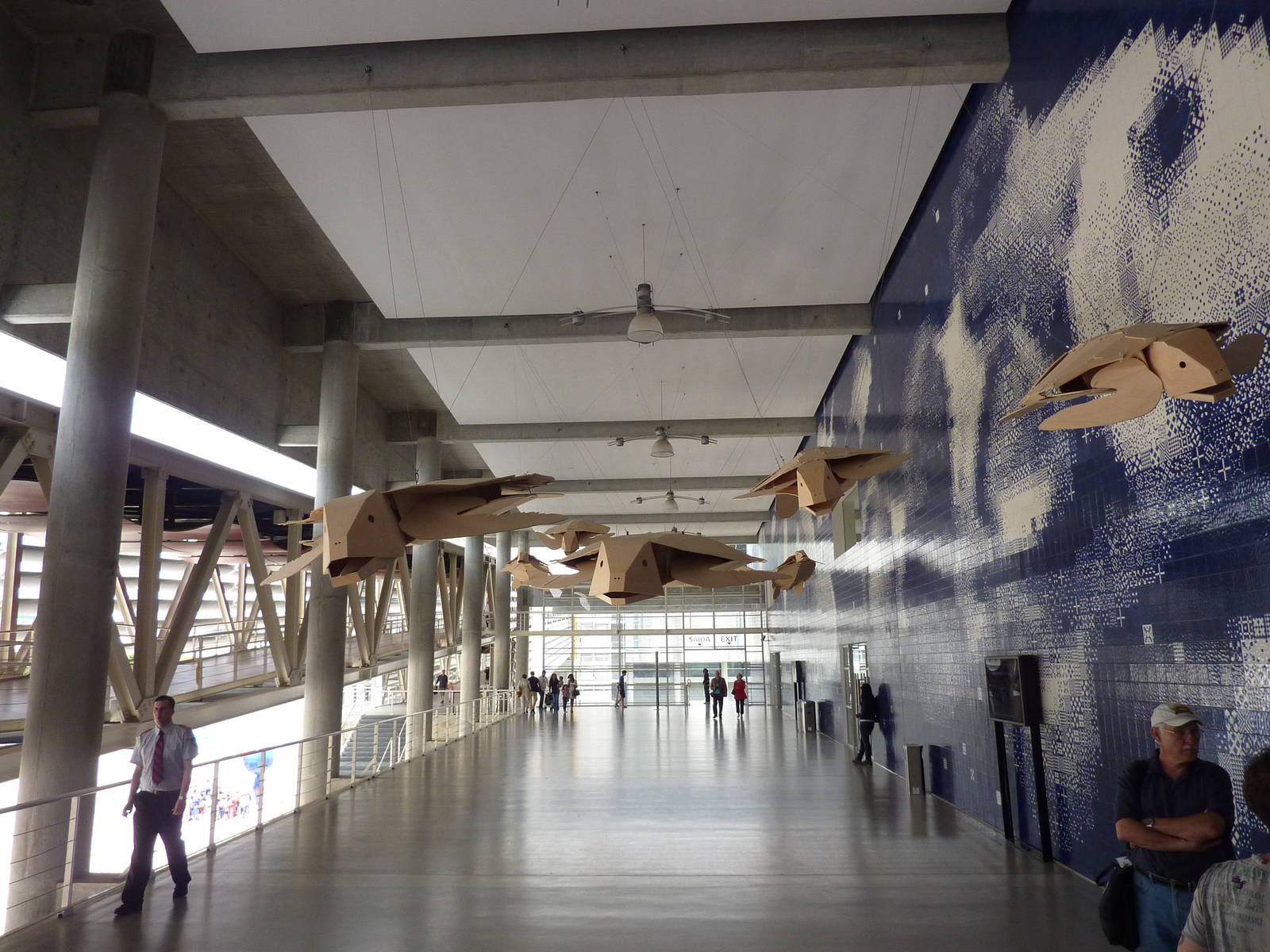 Artistic installation - Sea turtle exhibition