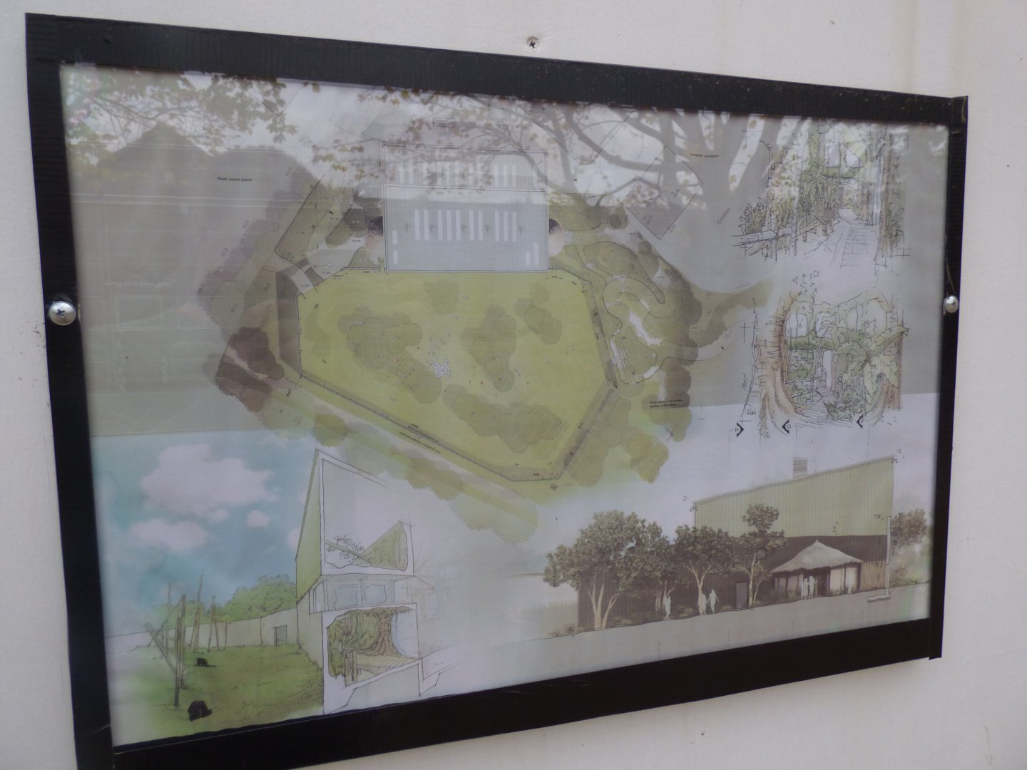 Artists impression of new Chimp enclosure