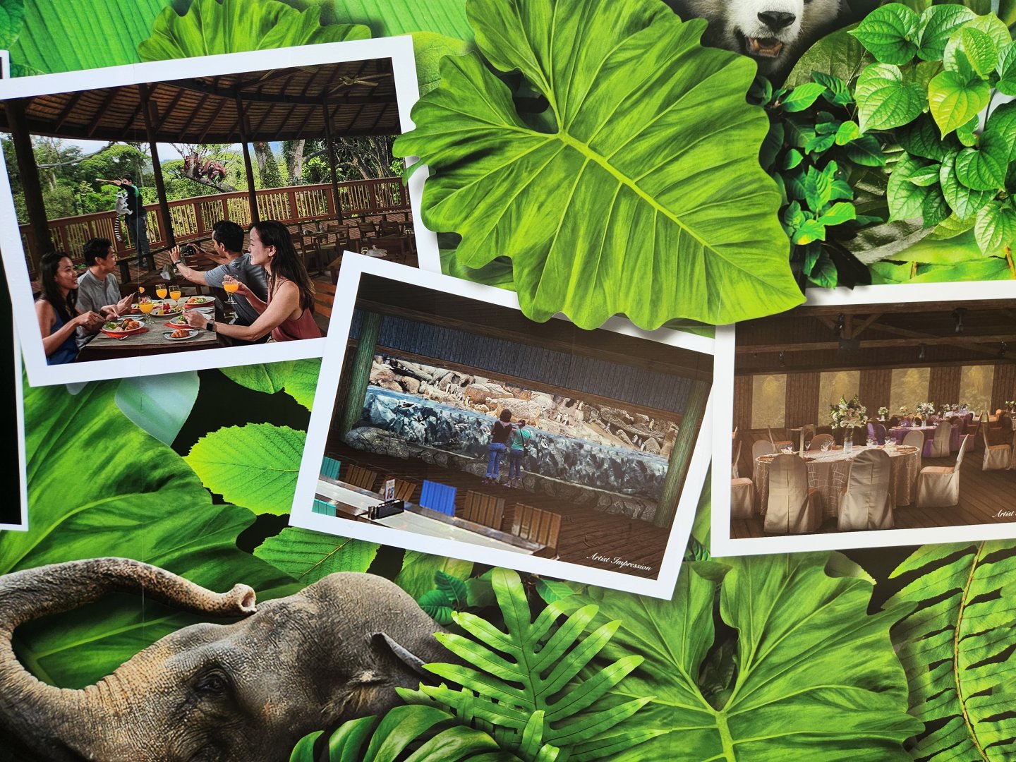 Artist's impression on new Ah Meng Restaurant and Penguin exhibit