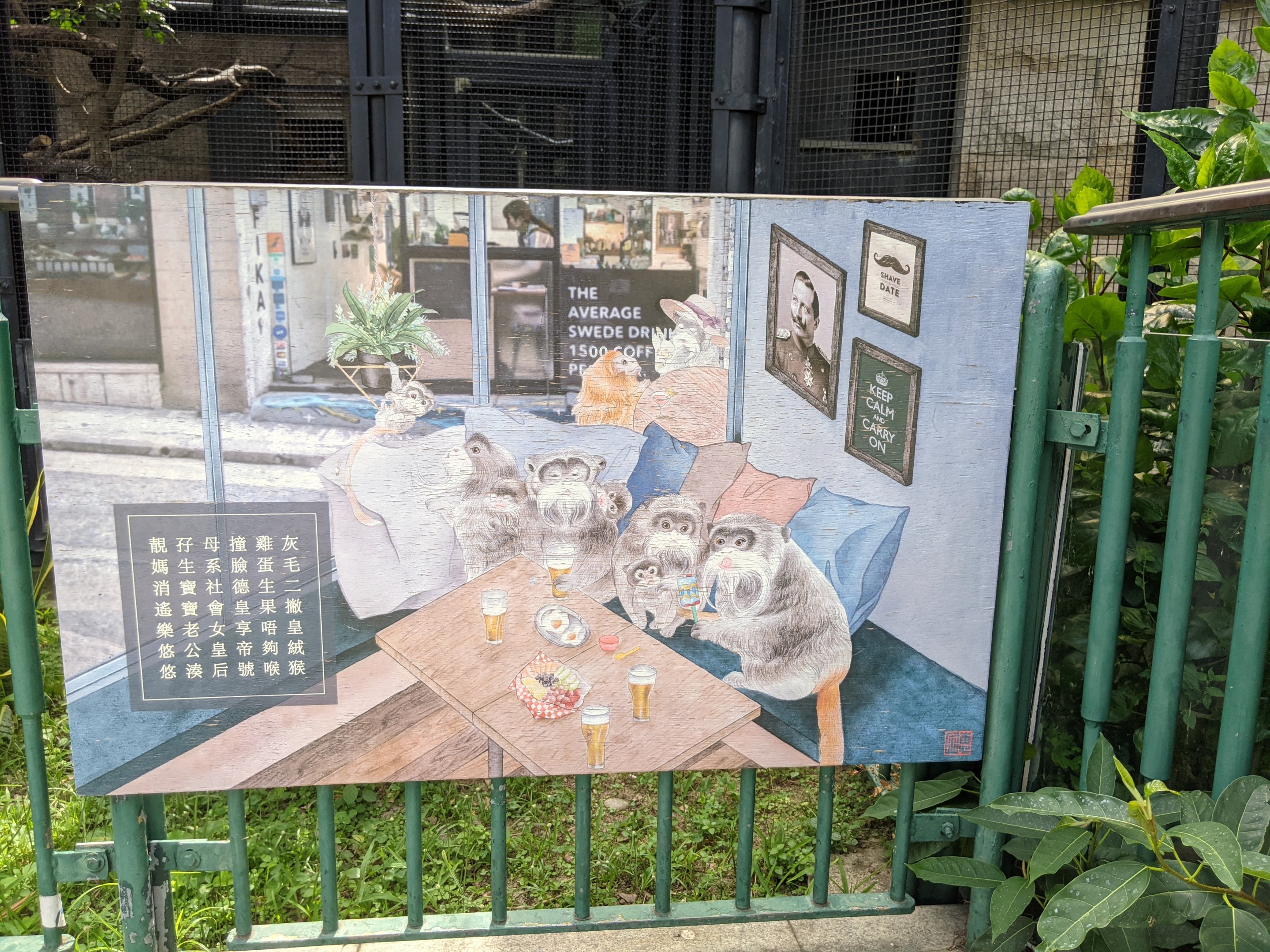 Artwork for Emperor Tamarins (Saguinus imperator)