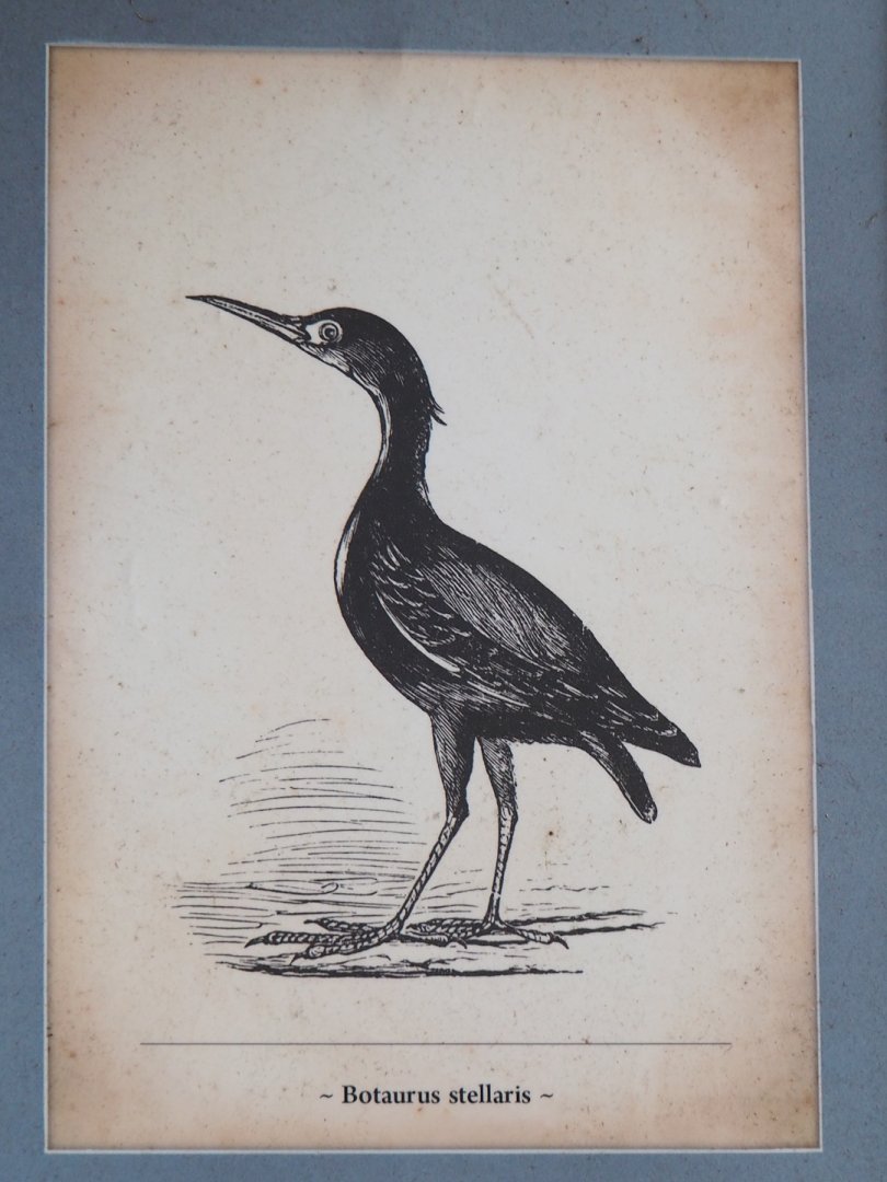 Artwork in the Asian elephant viewing lodge, 2023-03-28