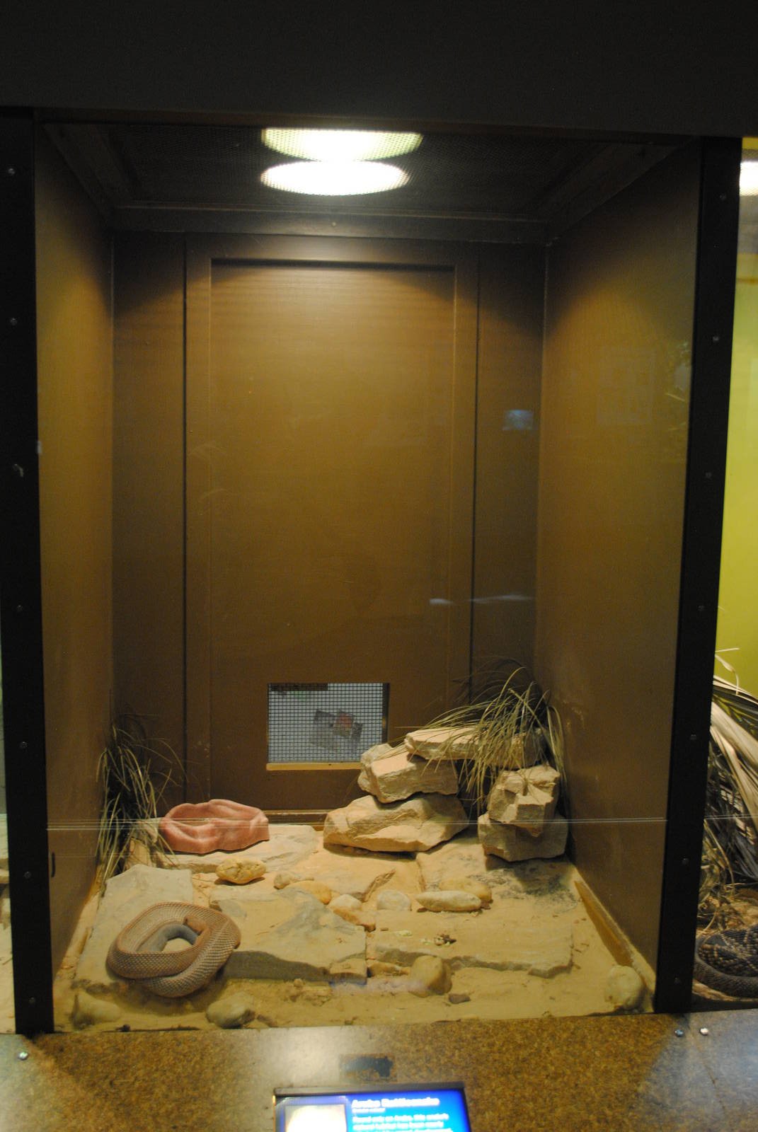 Aruba Rattlesnake exhibit