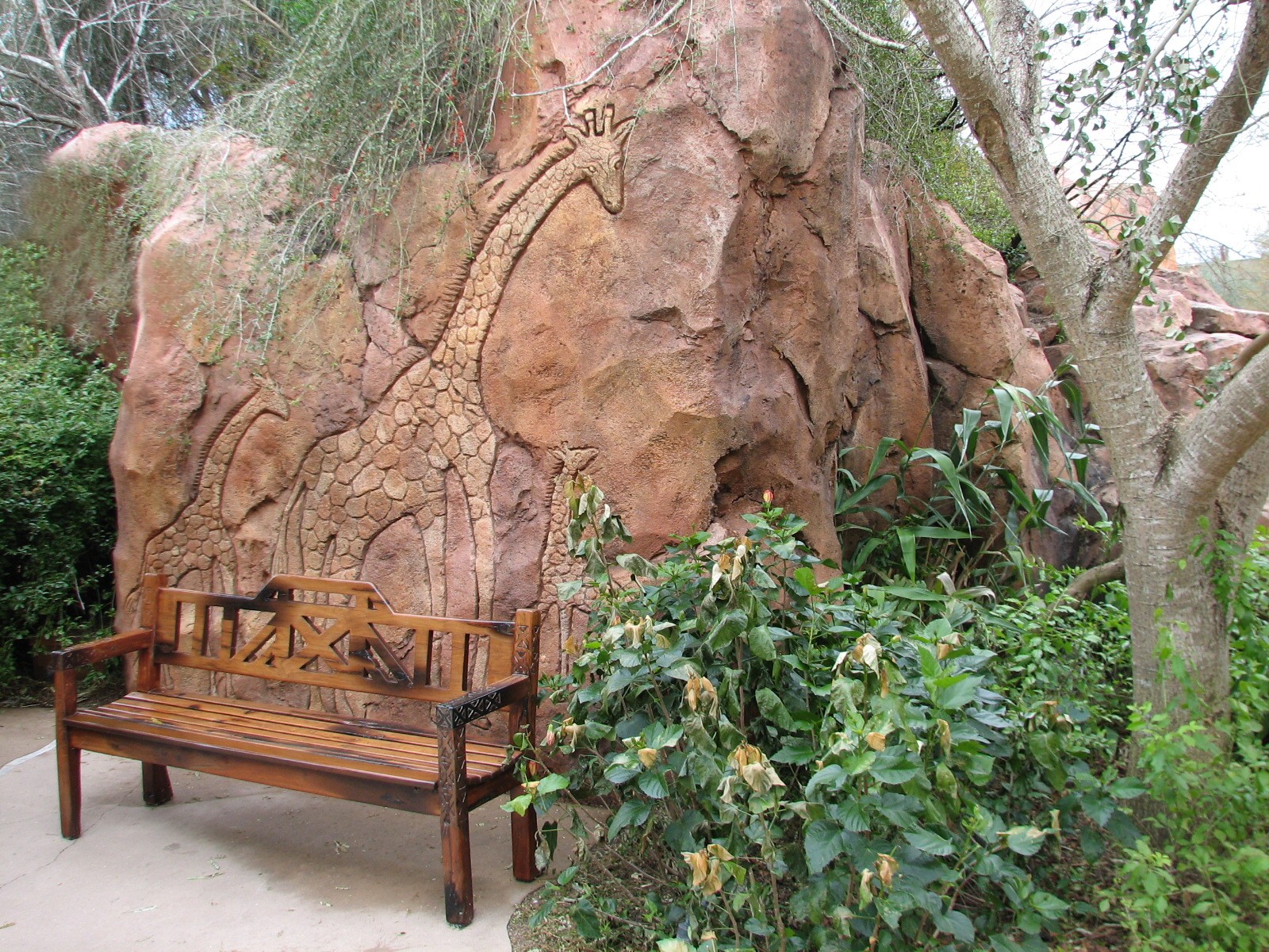 Arusha Rock Savanna Overlook - Sitting Area