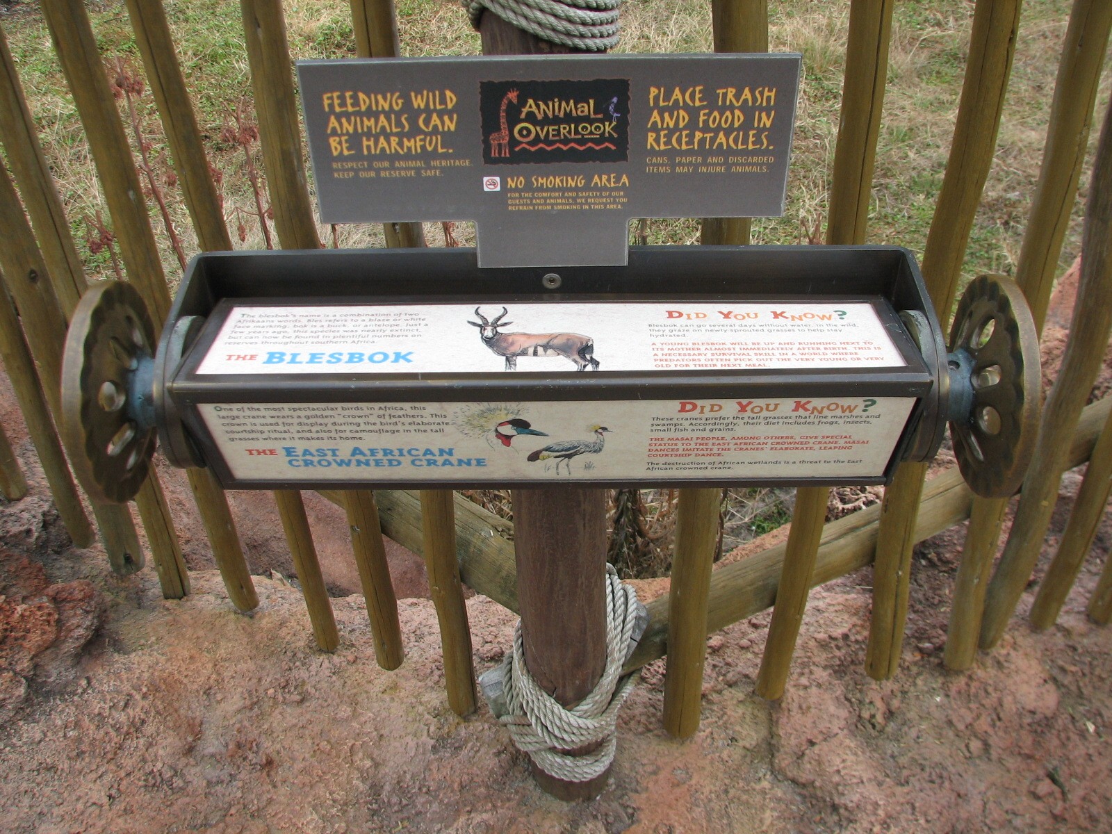 Arusha Savanna - Typical Species Identification Sign