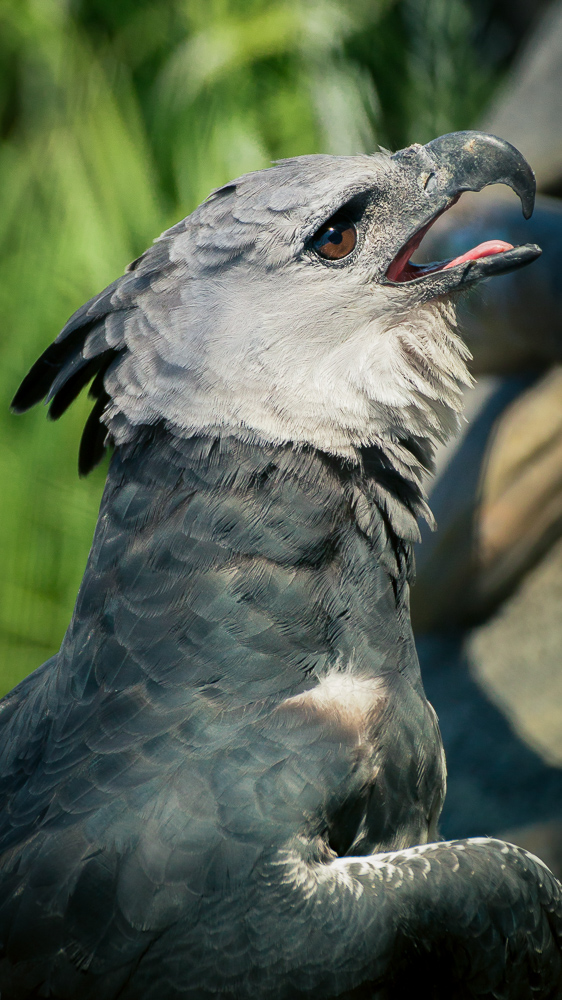 As Close To Me As You Are Now