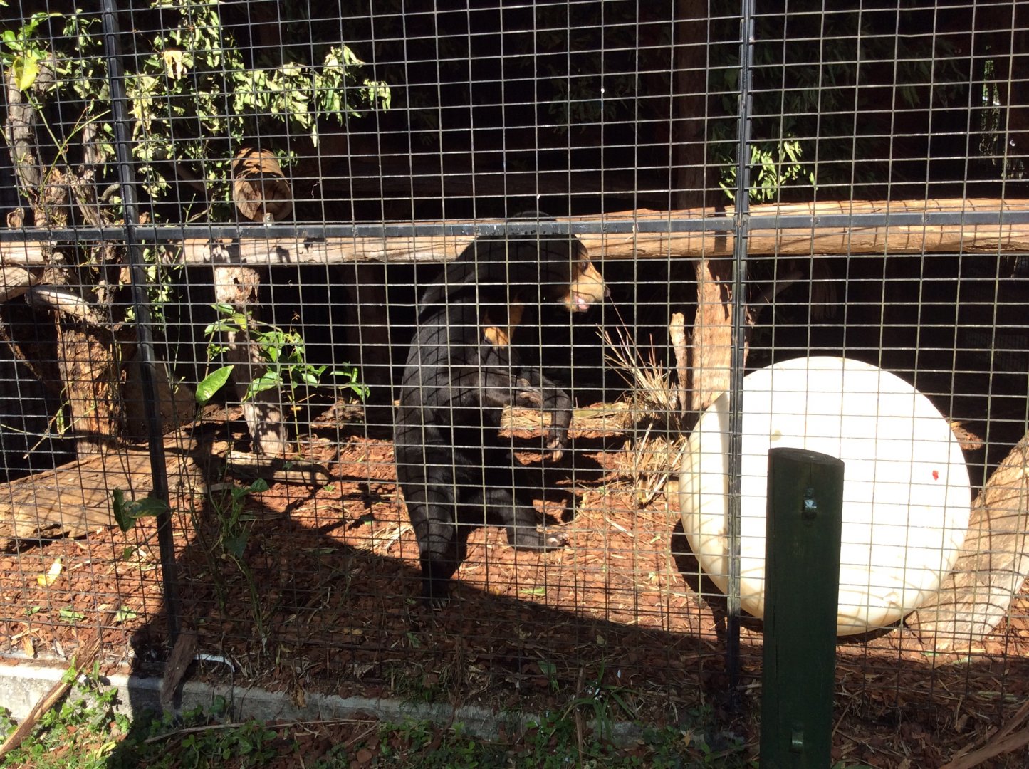 As I took this picture, she stood up on her hind legs