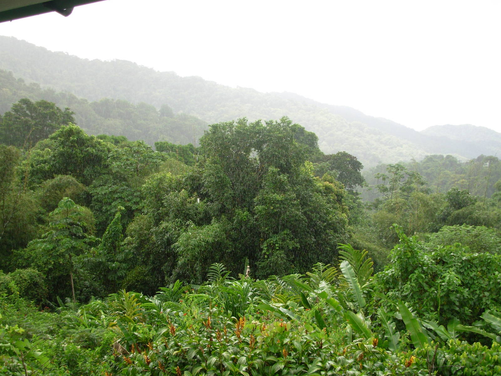 Asa Wright Nature Centre - Trinidad & Tobago