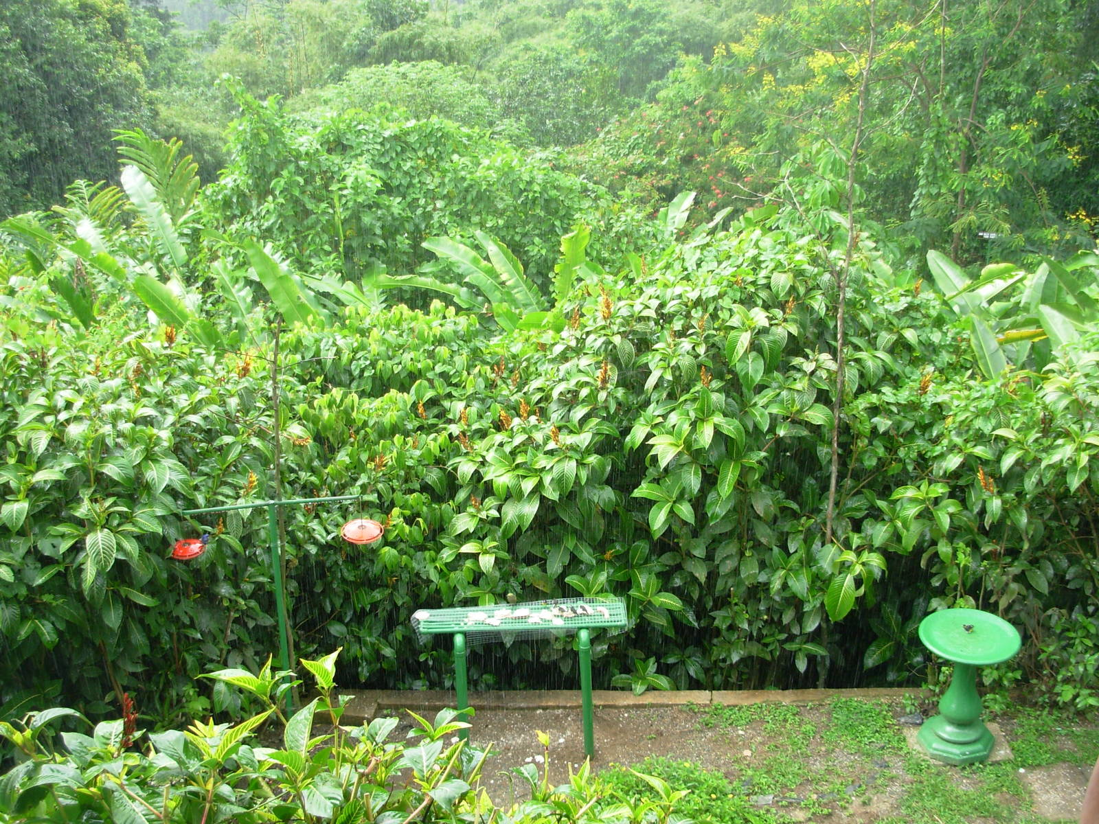 Asa Wright Nature Centre - Trinidad & Tobago