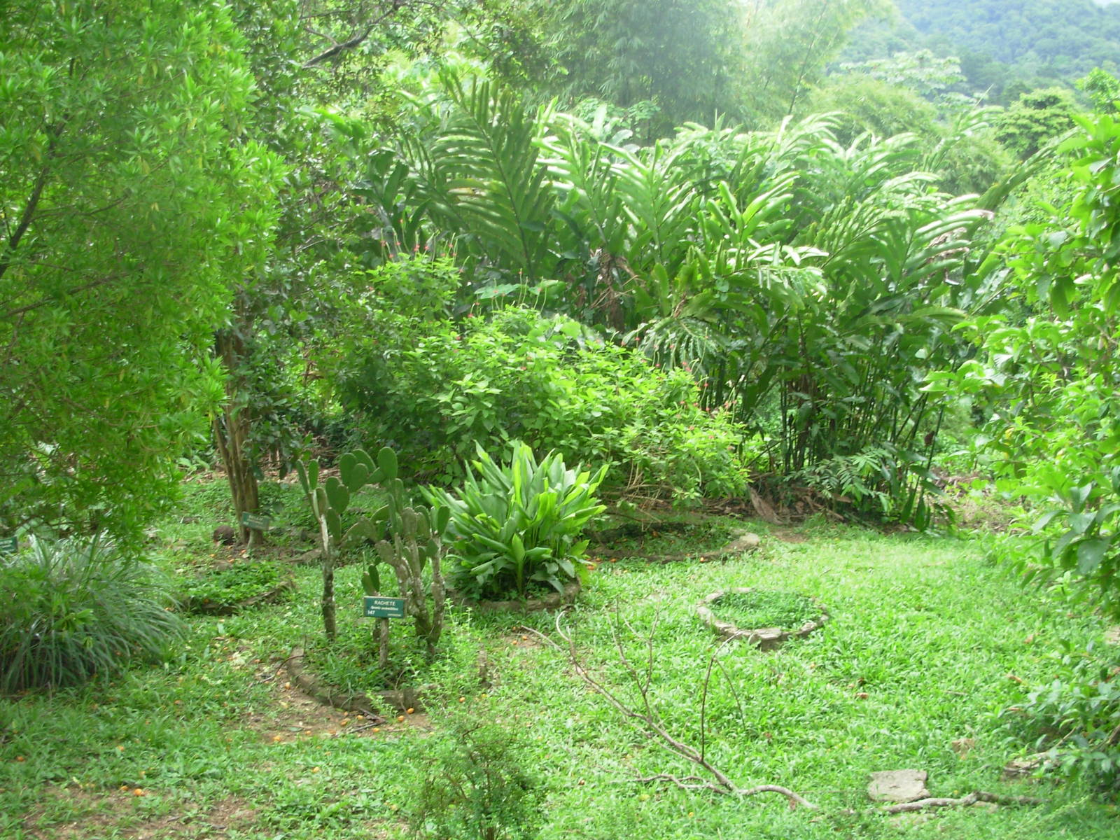 Asa Wright Nature Centre - Trinidad & Tobago