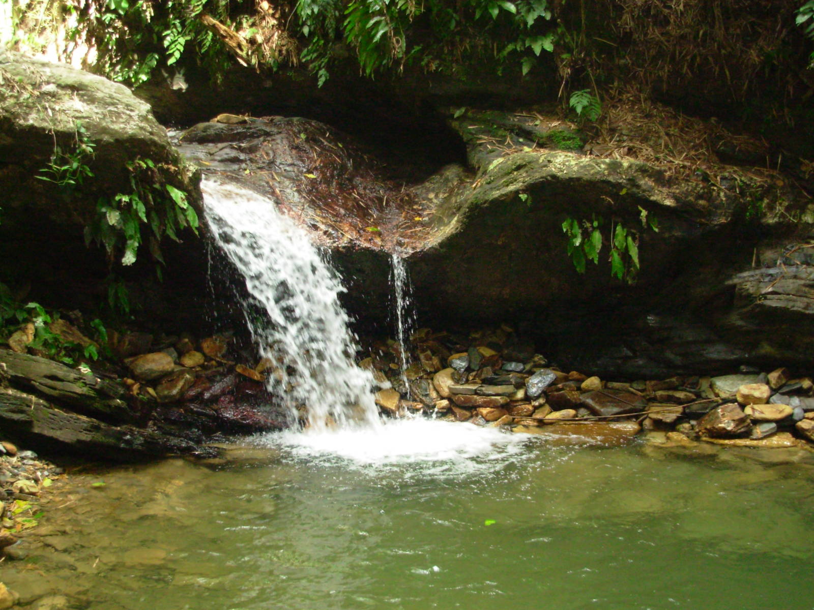 Asa Wright Nature Centre - Trinidad & Tobago