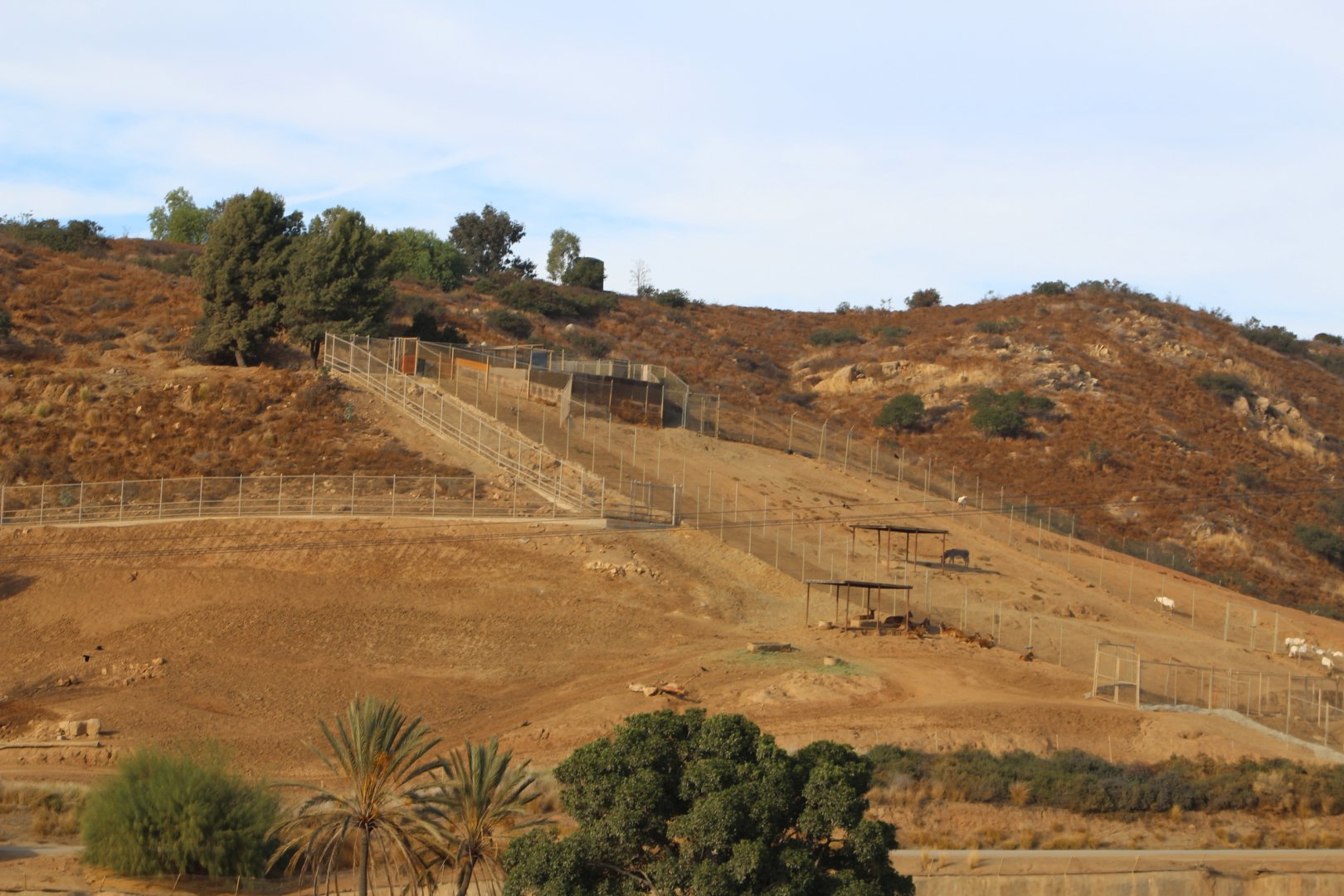 Asain Savannah Ungulate Pens