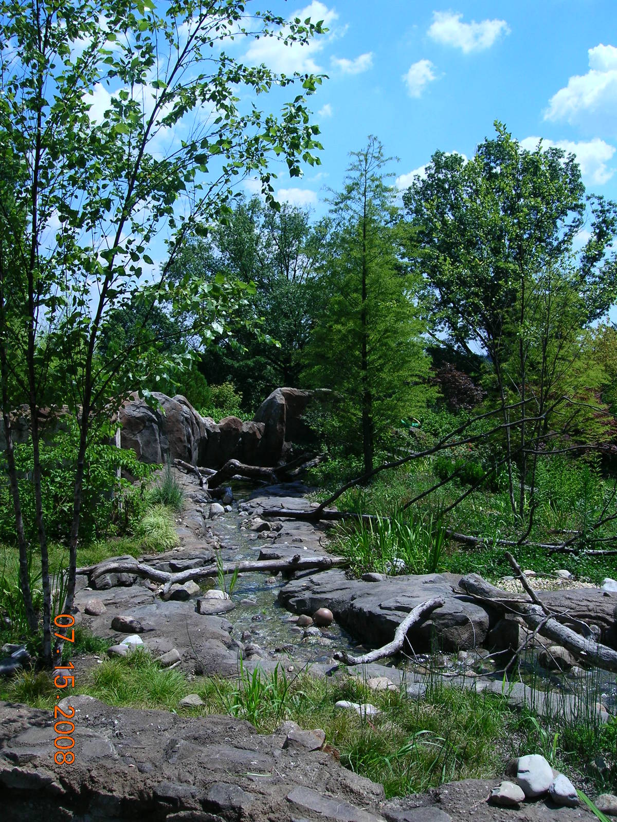 Asain Small-Clawed Otter Exhibit