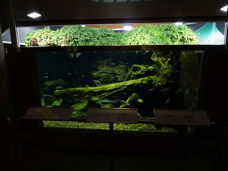 'Äschenregion’ Tank for greyling, dace, soufflia