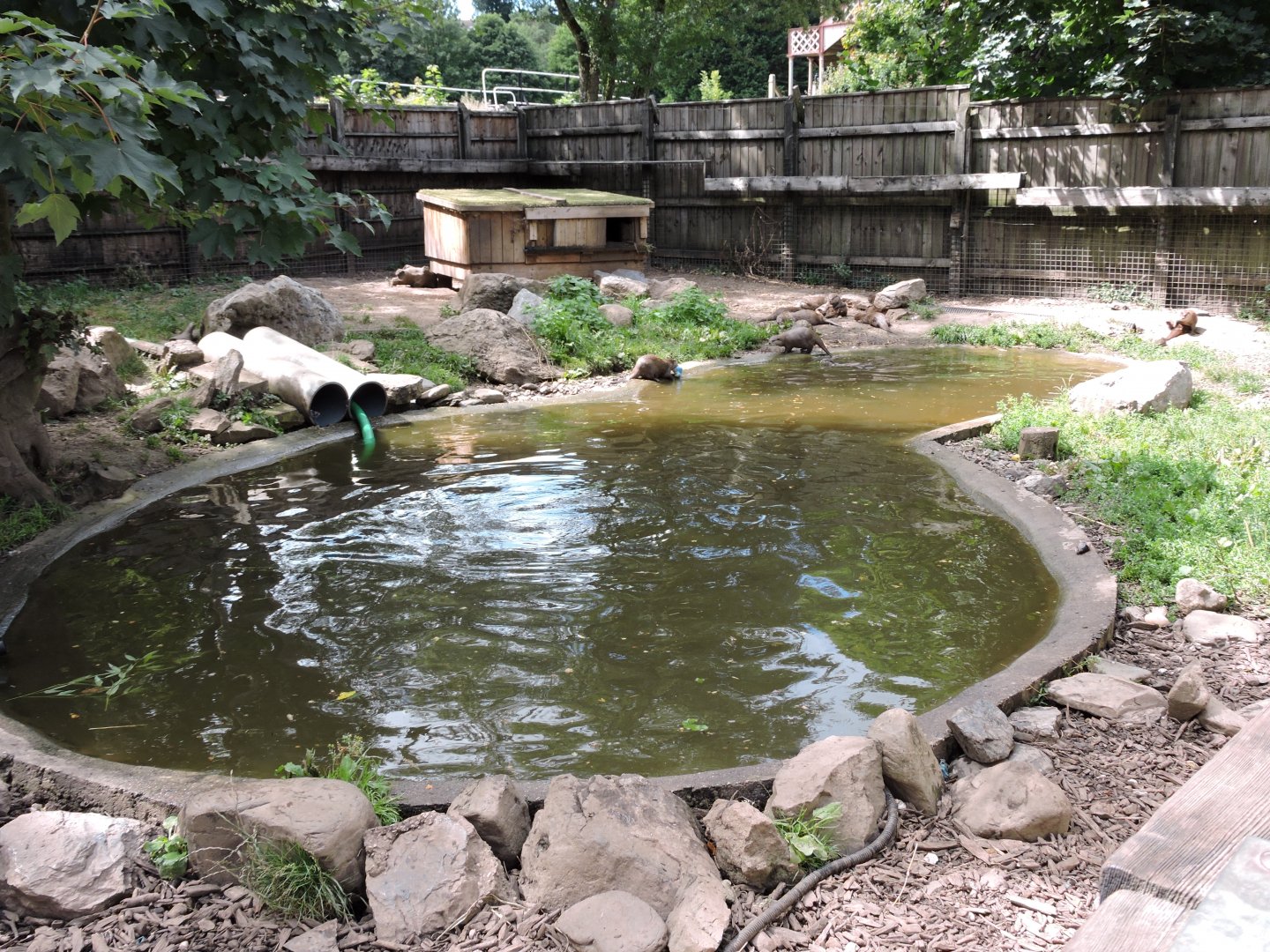 ASCO enclosure 1 - large family group (12+)