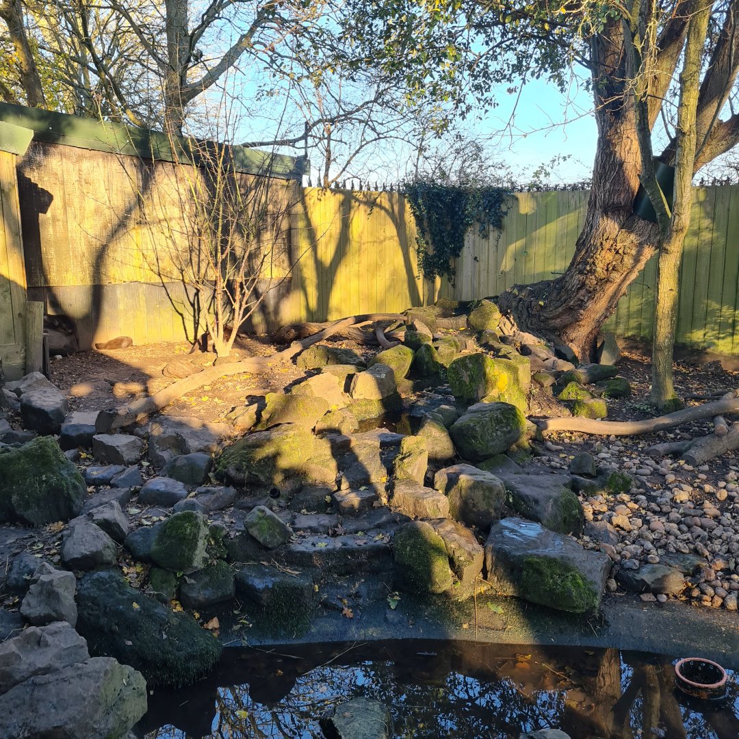 ASCO Enclosure, Drusillas Park