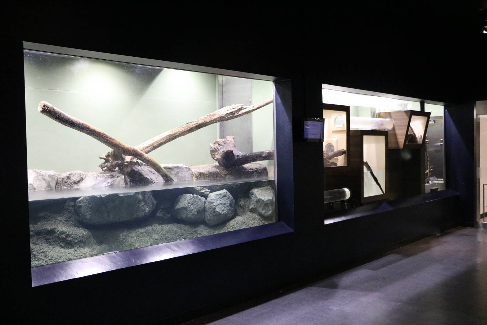 ASCO enclosure - EPSON Aqua Park, February 2016
