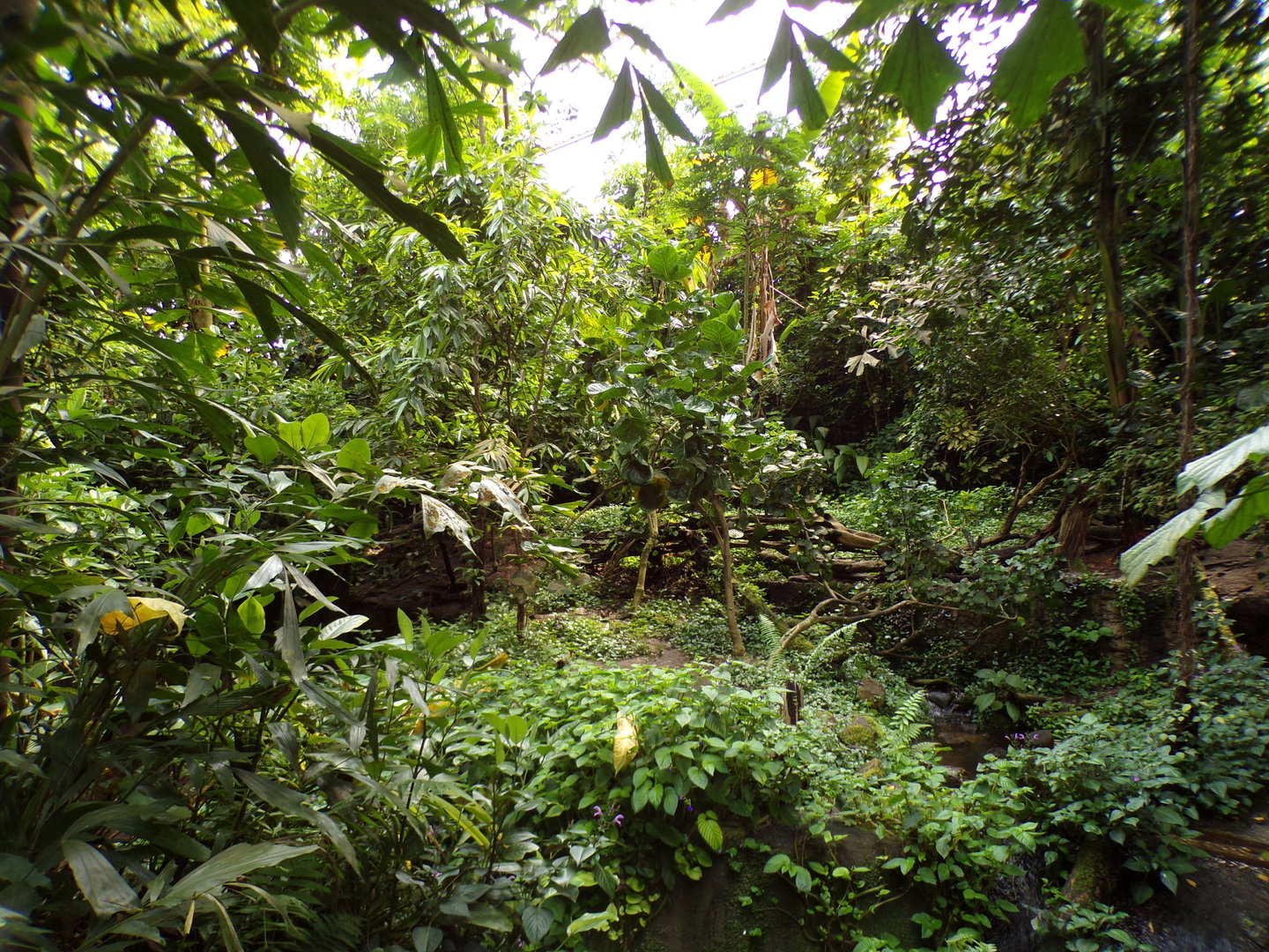 ASCO enclosure in Bush 6.7.23