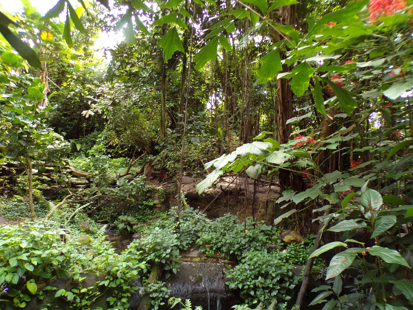 ASCO enclosure in Bush 6.7.23