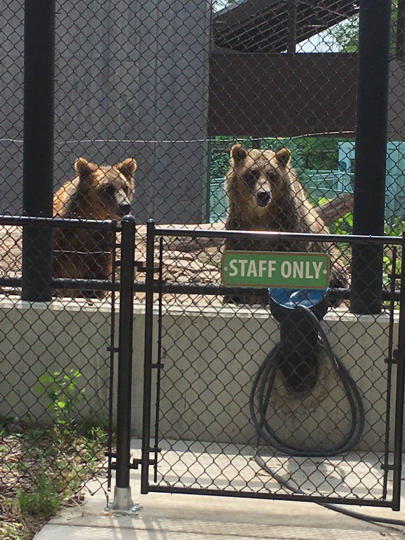 Ash and Lexi | Henry Vilas Zoo