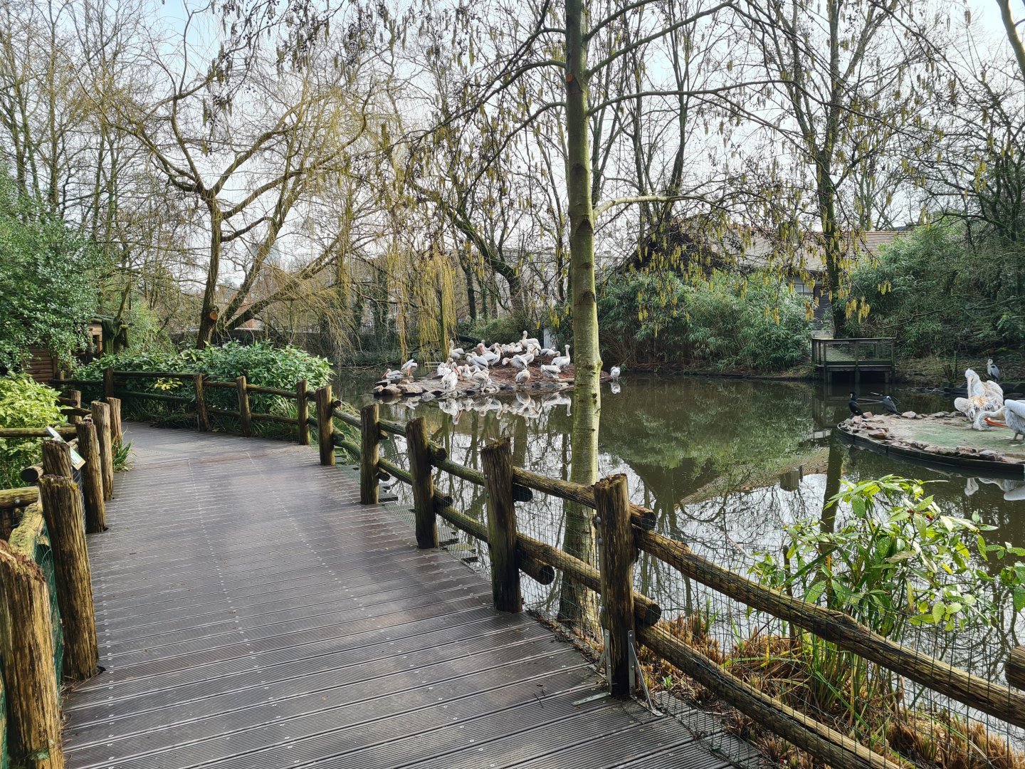 Asia - Amur Lake boardwalk
