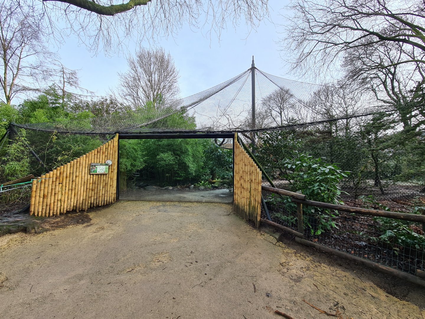 Asia - Amur leopard enclosure