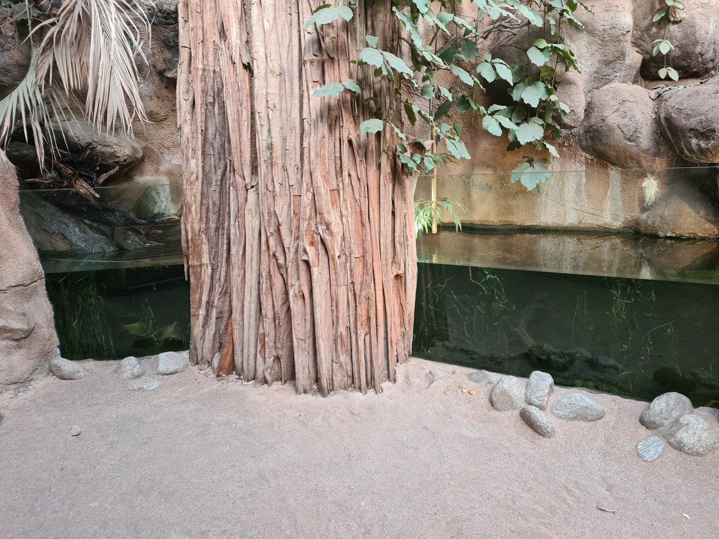 Asia - Aquarium in Taman Indah