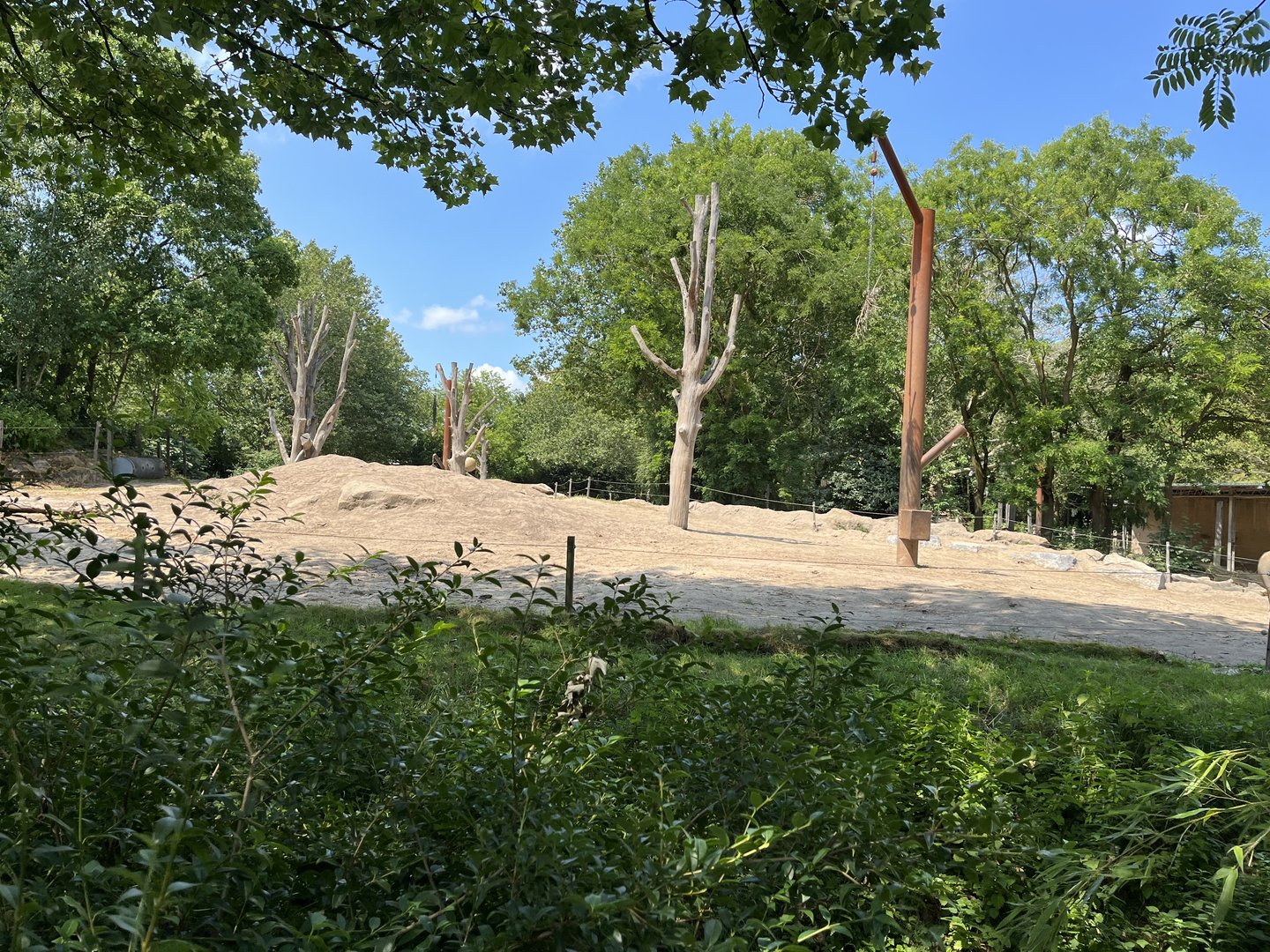 Asia- Asian elephant enclosure 13.7.23