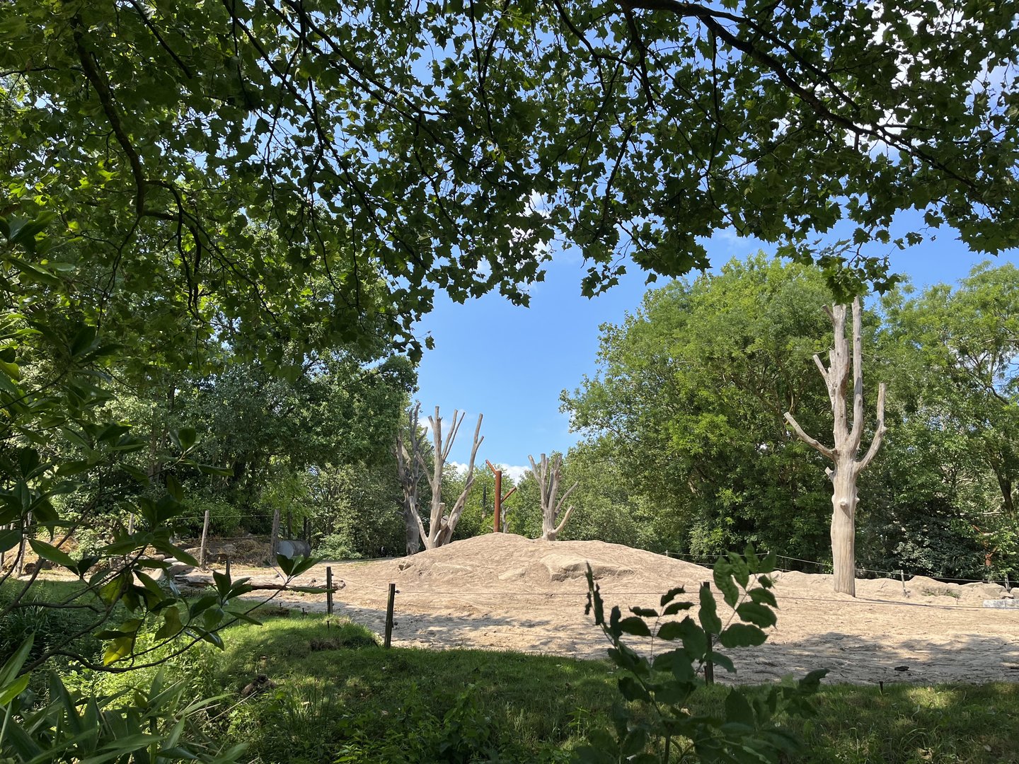 Asia- Asian elephant enclosure 13.7.23