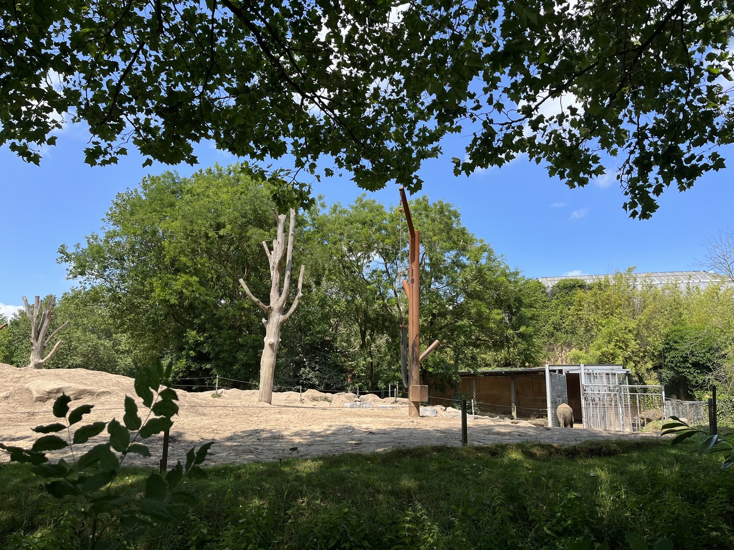 Asia- Asian elephant enclosure 13.7.23