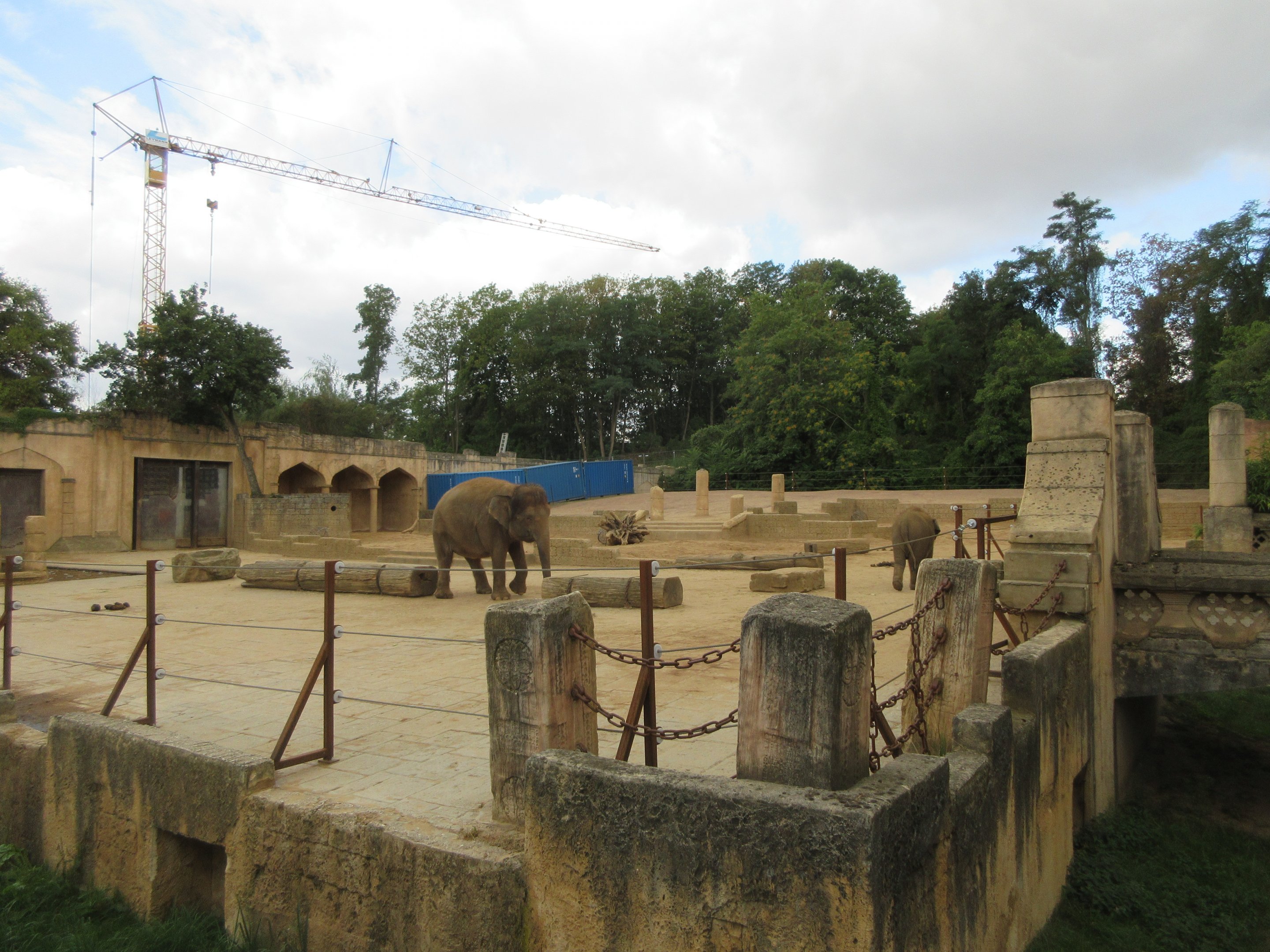 Asia - Asian Elephant Exhibit (with crane in background)