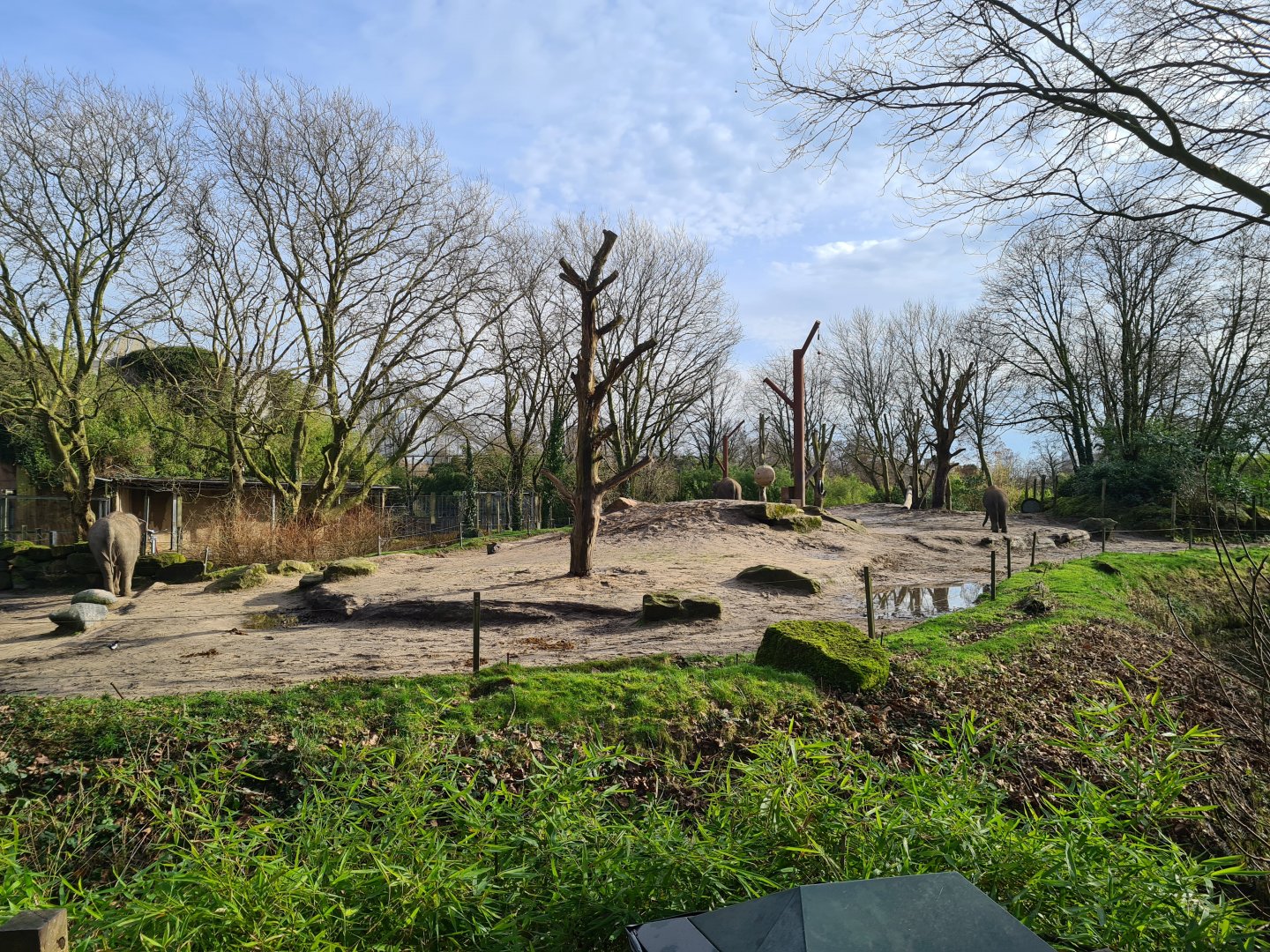 Asia - Asian elephant outdoor enclosure