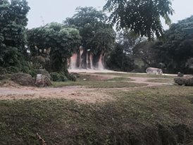 Asia- Asian Elephant