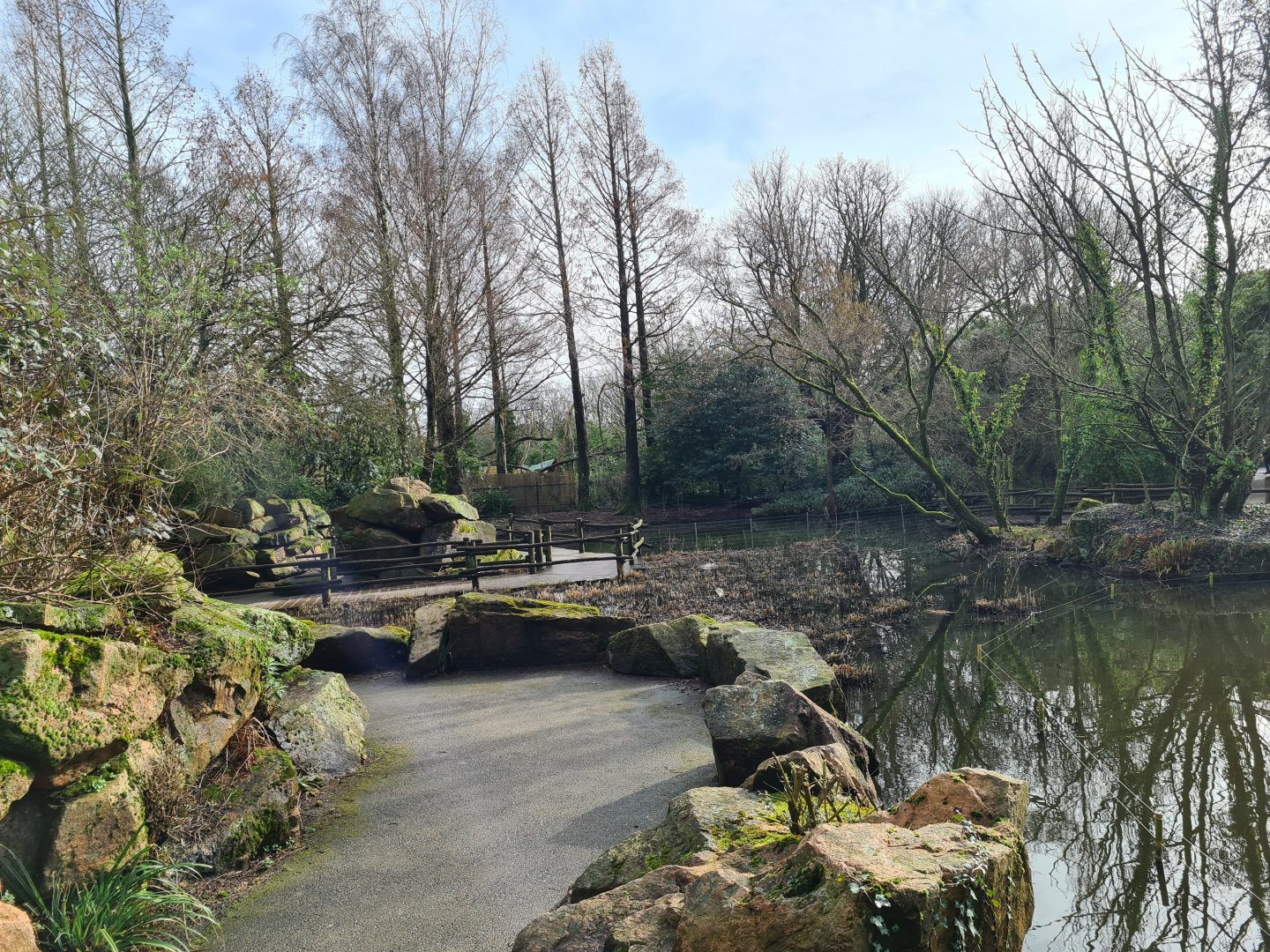 Asia - Asian swamp walkway