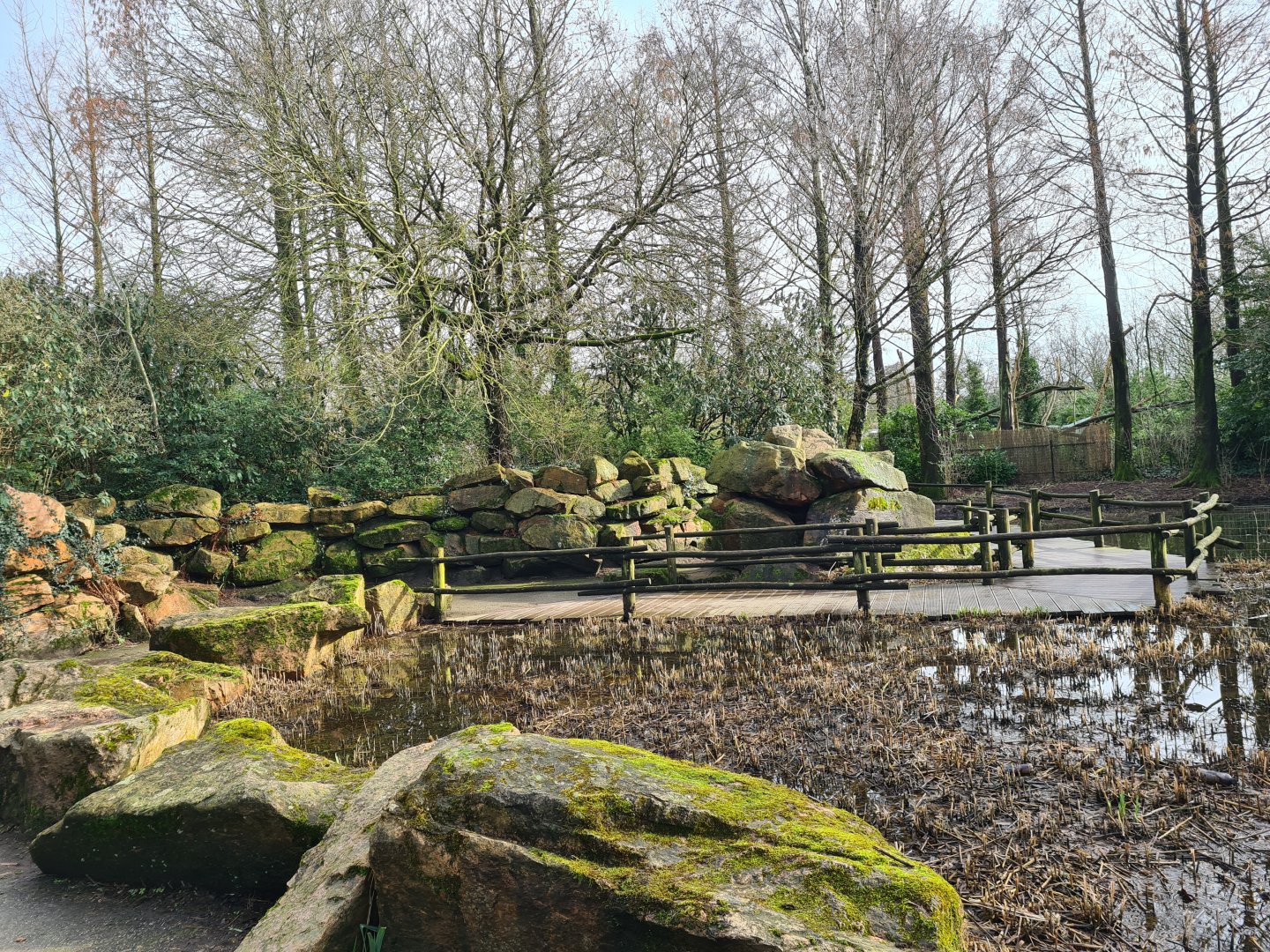 Asia - Asian swamp walkway