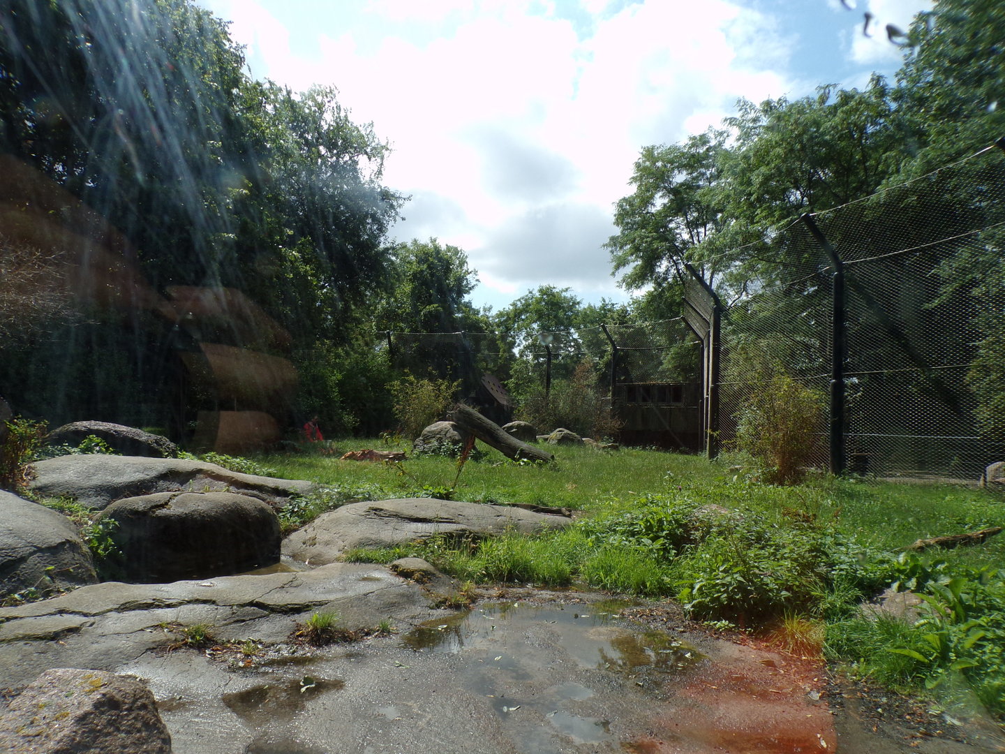 Asia- Asiatic Lion enclosure 13.7.23