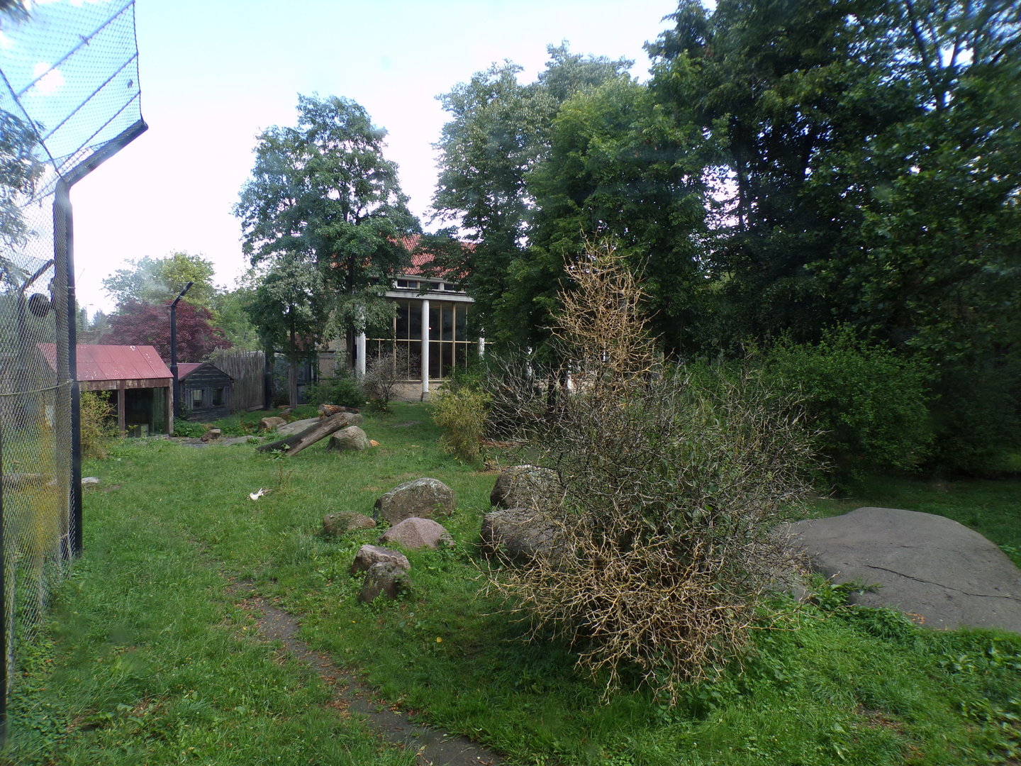 Asia- Asiatic Lion enclosure 13.7.23