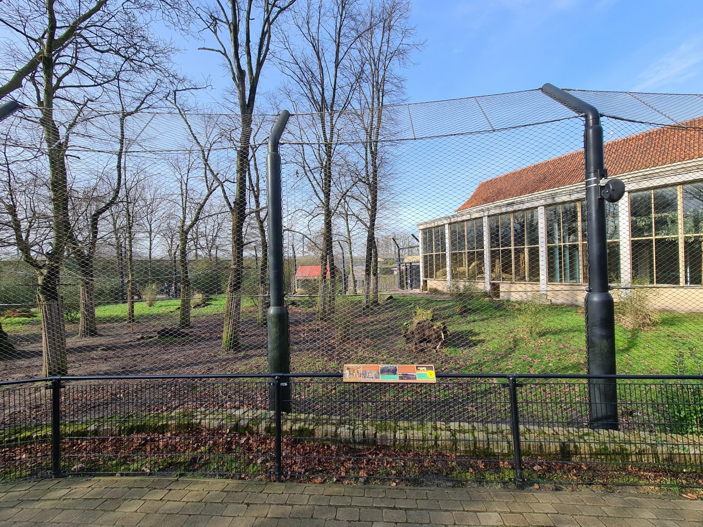 Asia - Asiatic lion enclosure