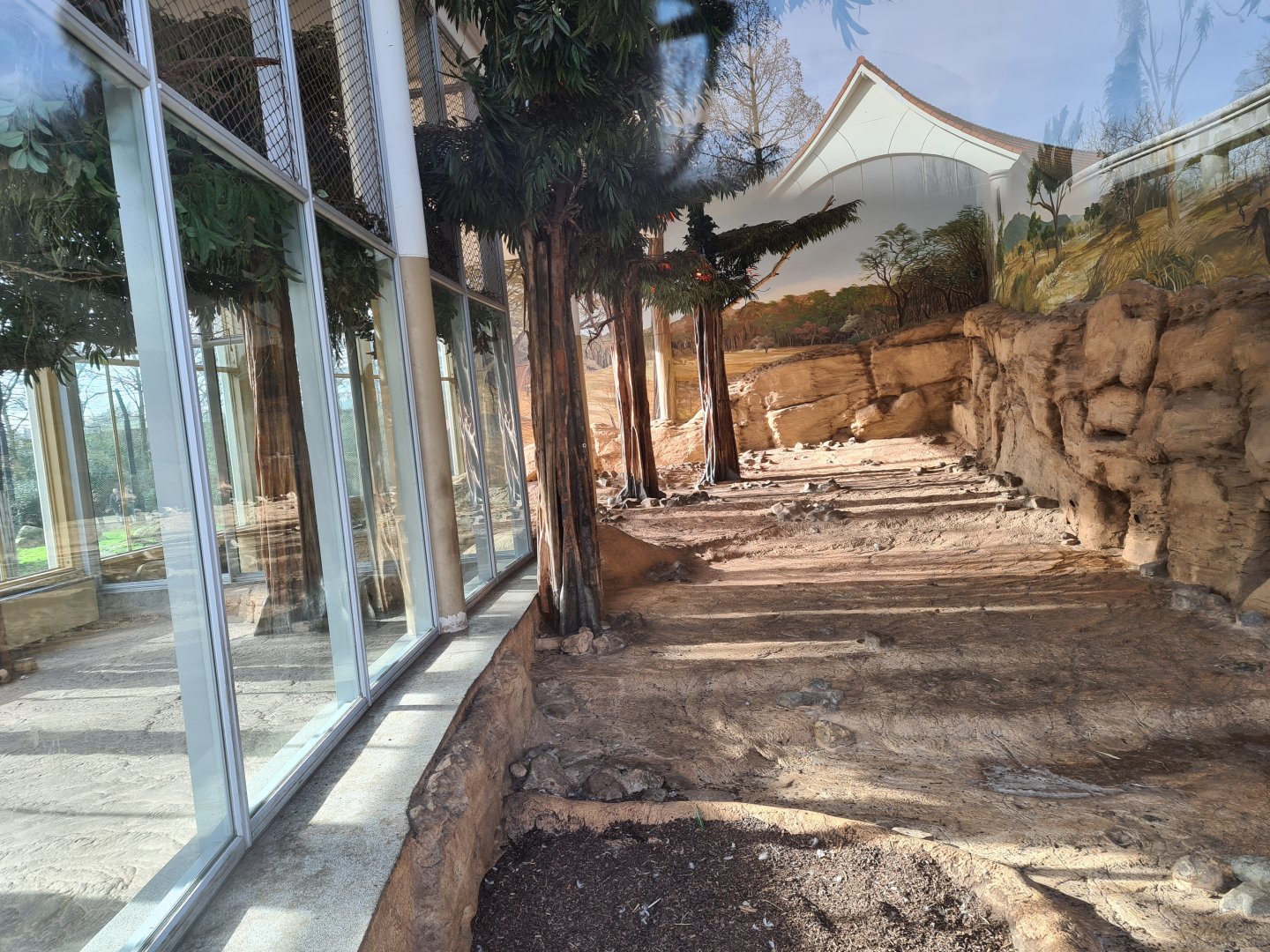 Asia - Asiatic lion indoor enclosure