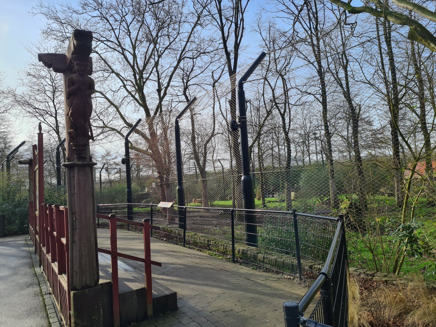Asia - Asiatic lion viewing point