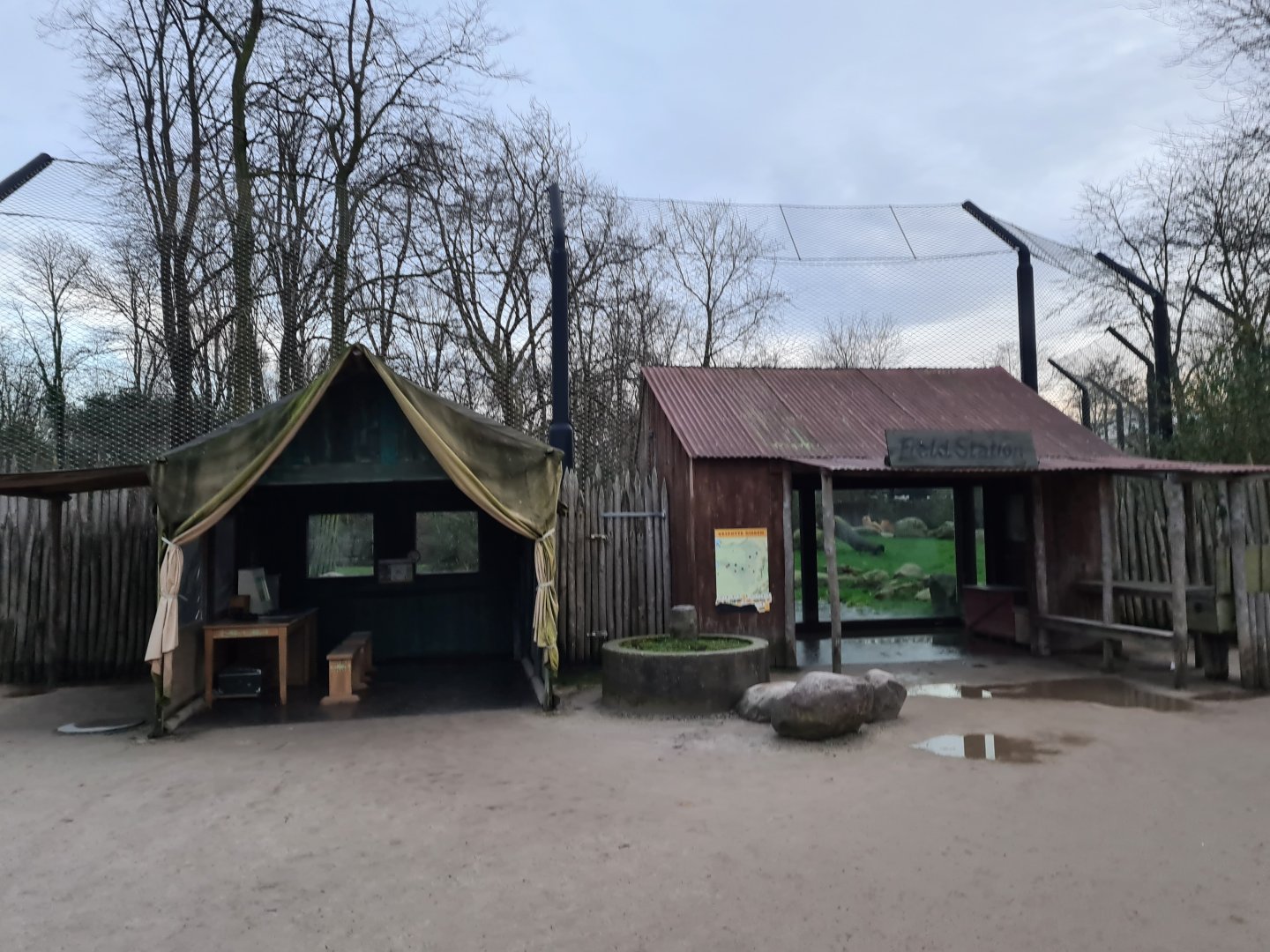 Asia - Asiatic lion viewing points