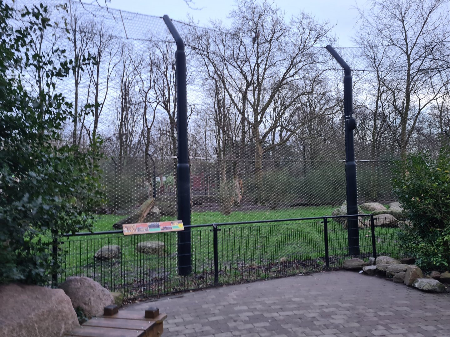 Asia - Asiatic lions viewing point