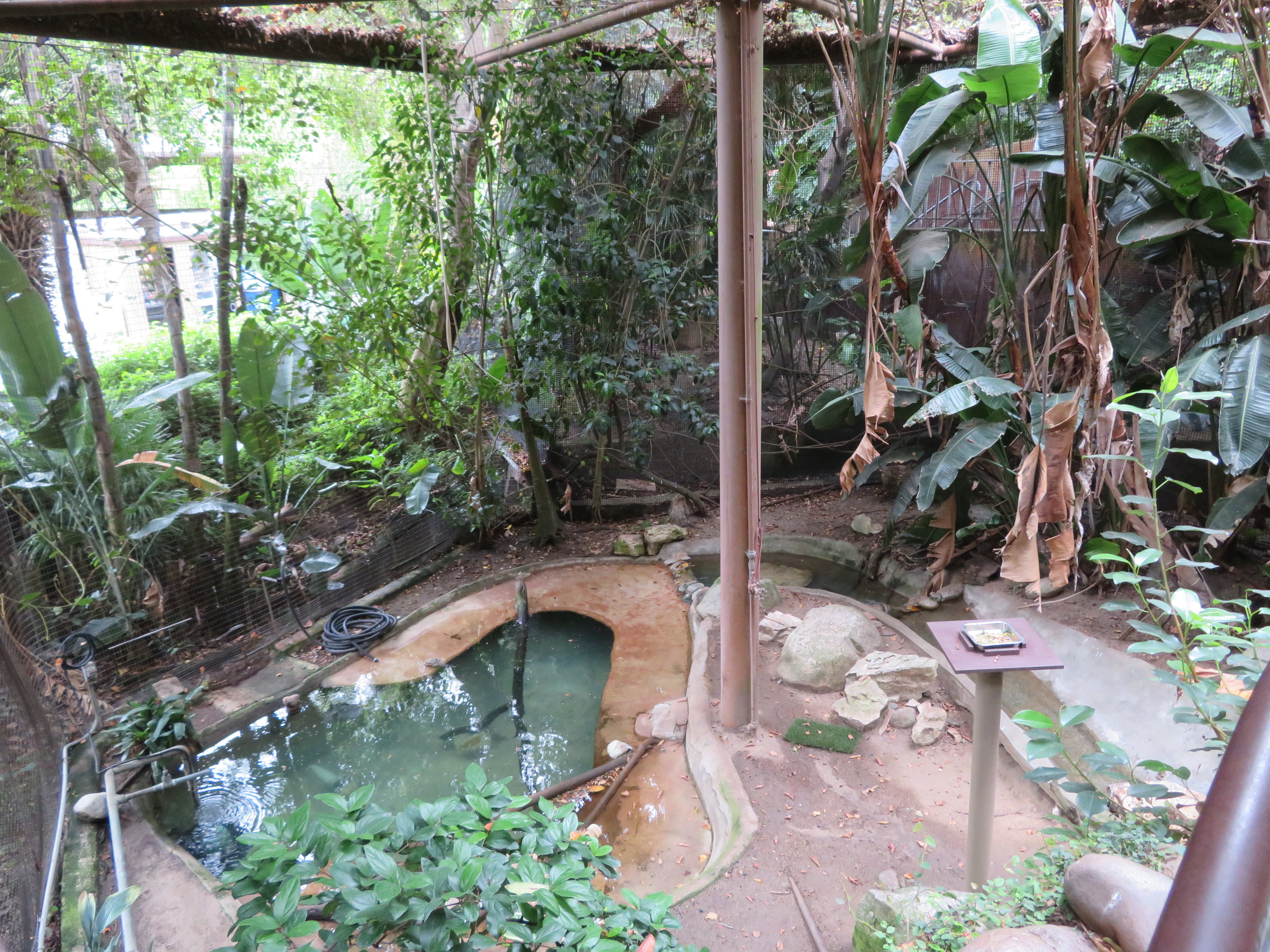 Asia/Australia Aviary