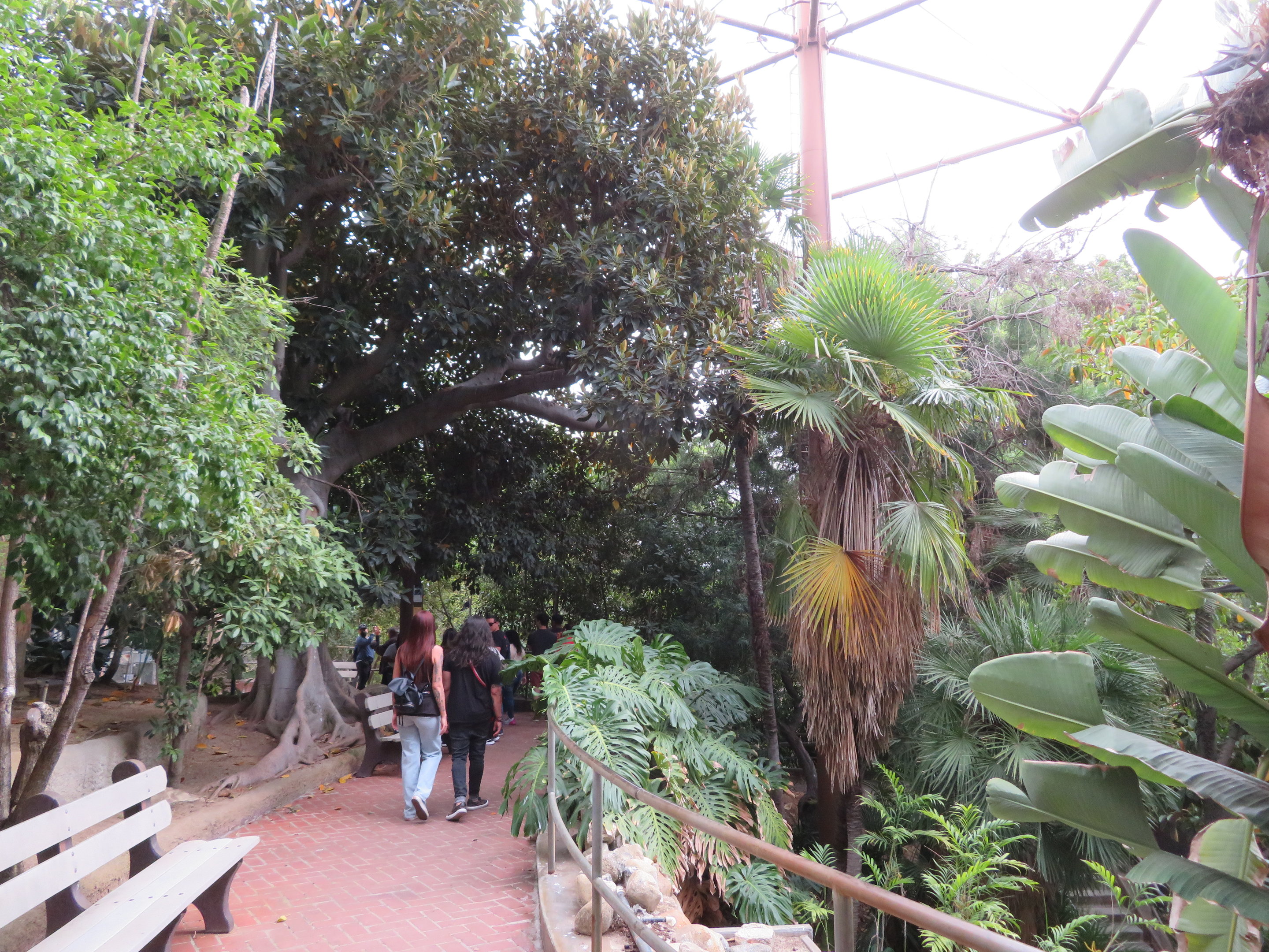 Asia/Australia Aviary